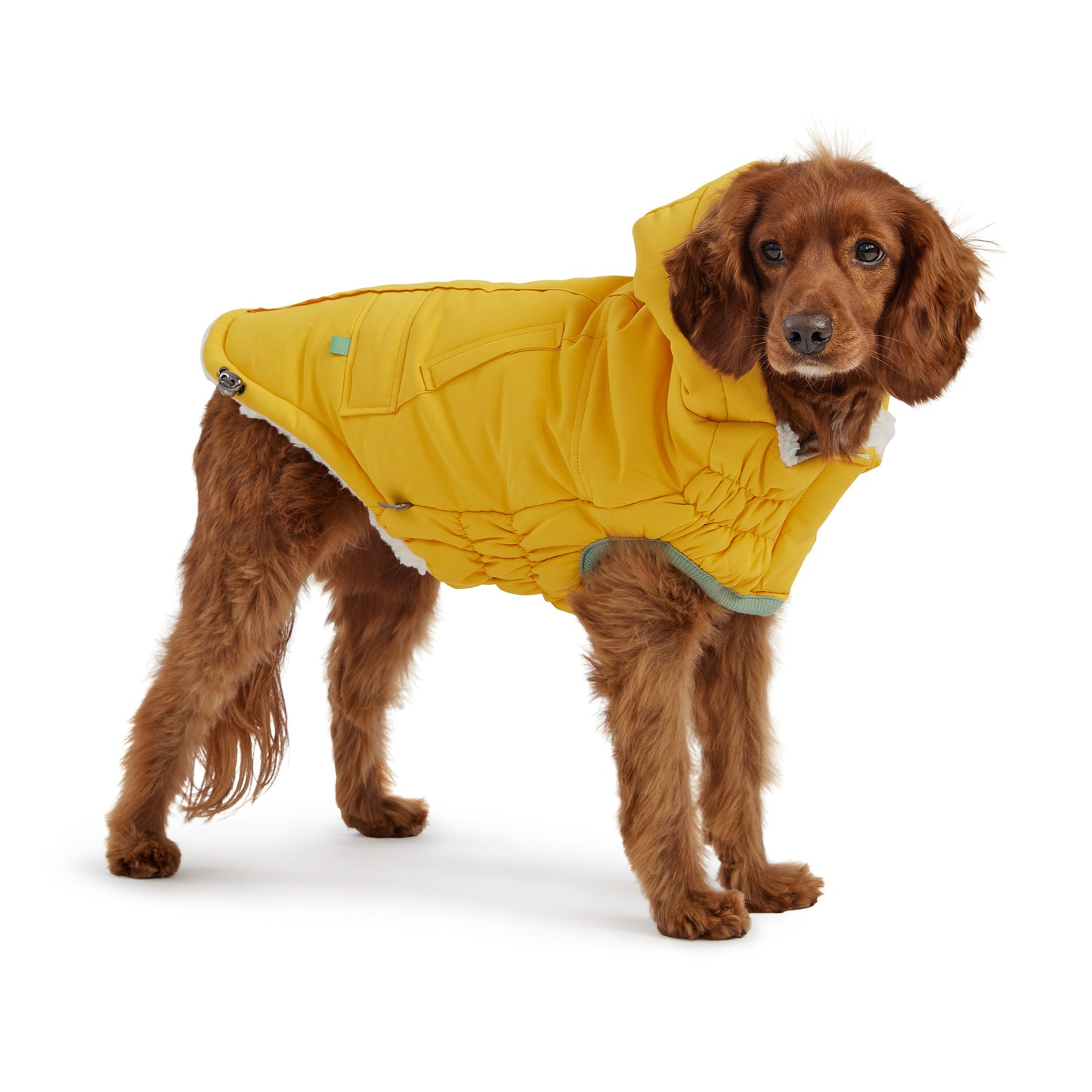 Arctic Parka Yellow Dog Apparel Premium Pet Supply Premium - detail view