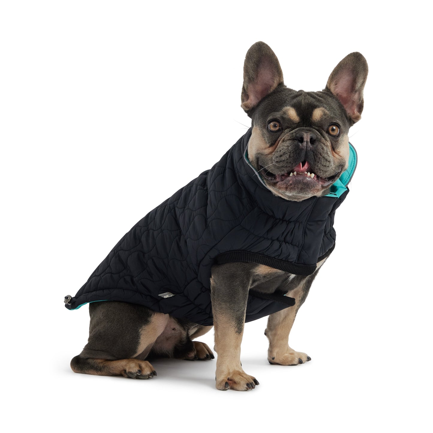 Reversible Chalet Jacket Black Aqua Dog Jackets Premium Pet - detail view