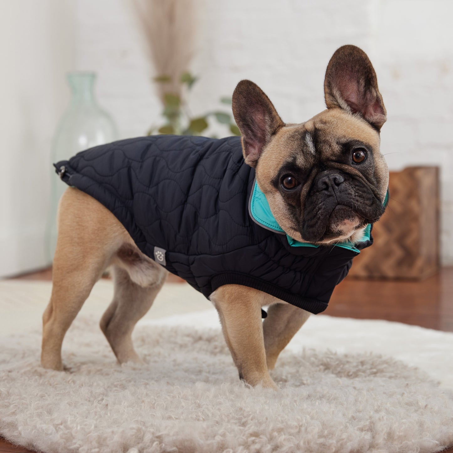 Reversible Chalet Jacket Black Aqua Dog Jackets Premium Pet - gallery image 8