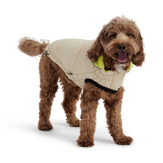 Reversible Chalet Jacket Sand Yellow Dog Jackets Premium Pet - detail view
