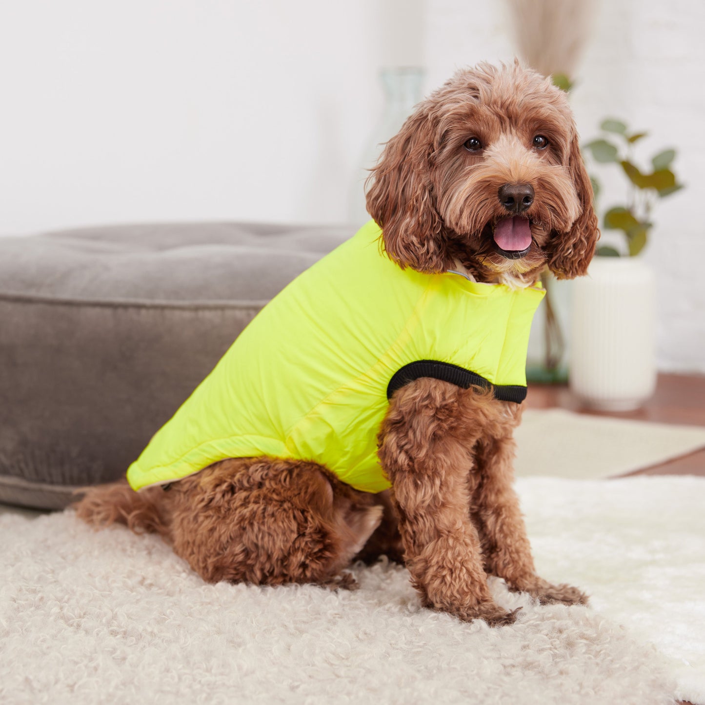 Reversible Chalet Jacket Sand Yellow Dog Jackets Premium Pet - gallery image 7