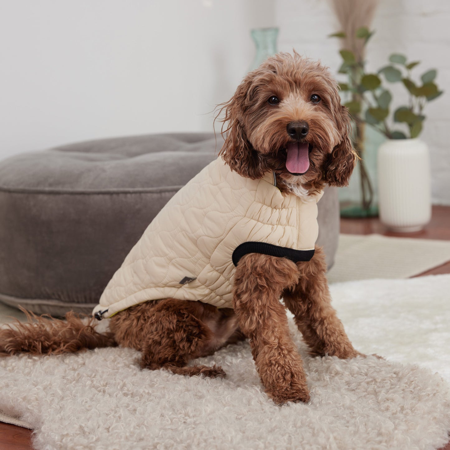 Reversible Chalet Jacket Sand Yellow Dog Jackets Premium Pet - gallery image 8