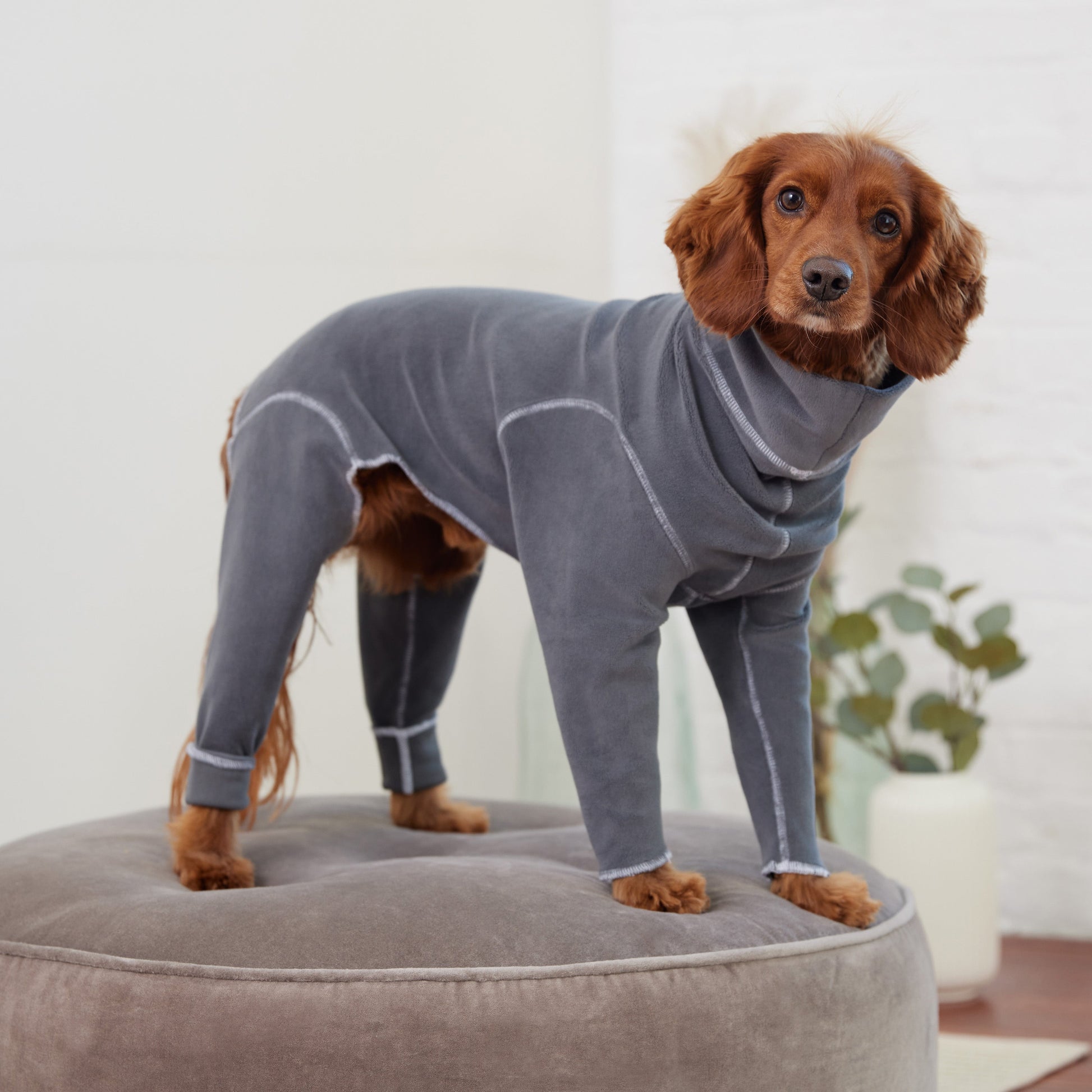 Gondola Onesie Charcoal Dog Apparel Premium Pet Supply - gallery image 5