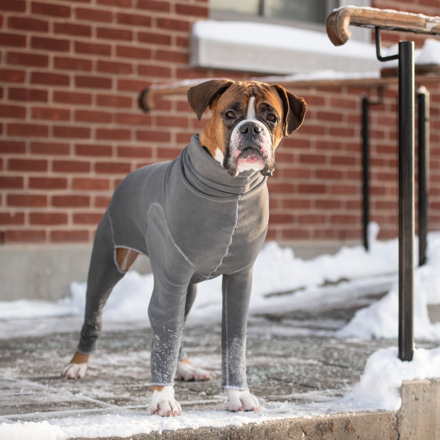 Gondola Onesie Charcoal Dog Apparel Premium Pet Supply - gallery image 6