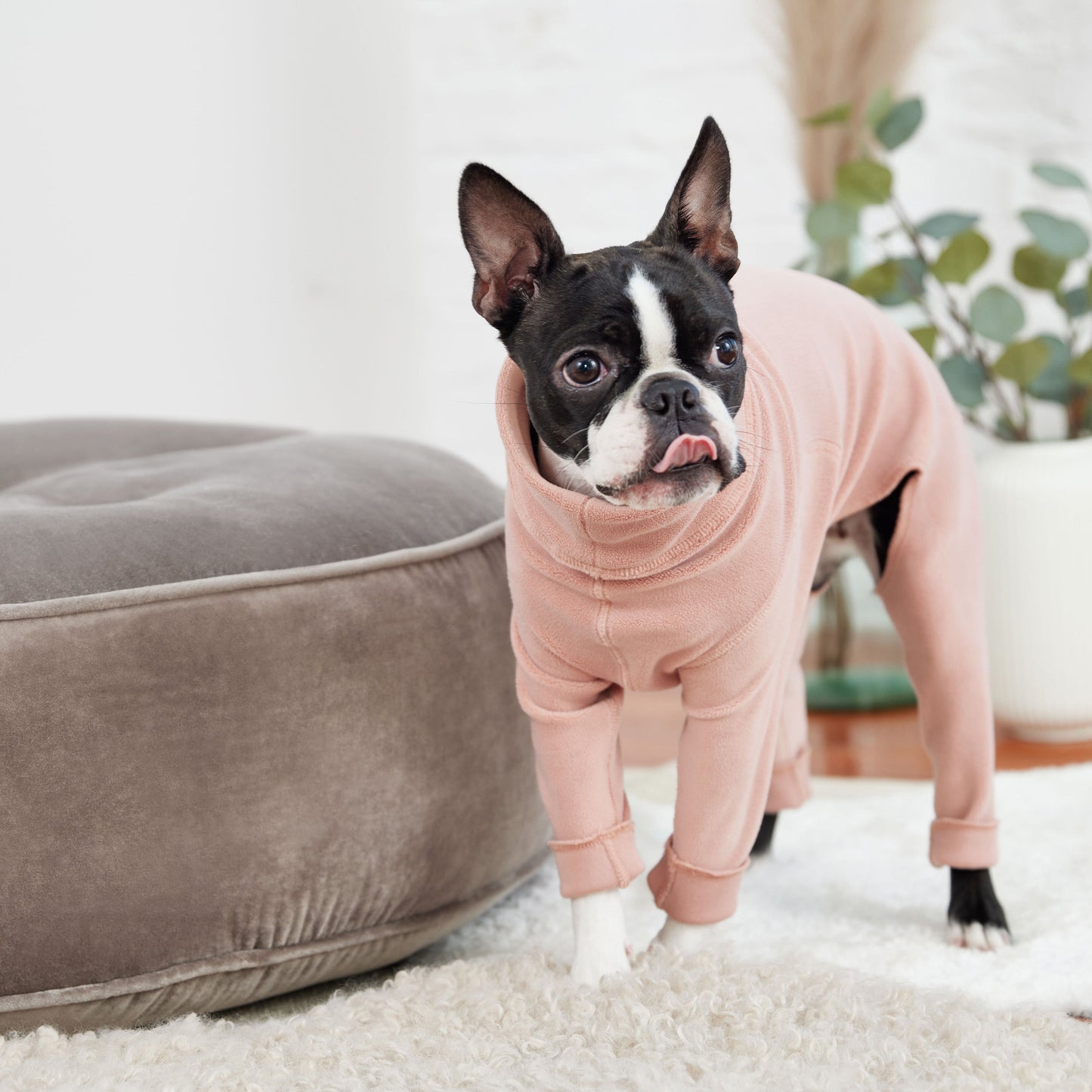 Gondola Onesie Pink Dog Apparel Premium Pet Supply Premium - gallery image 5