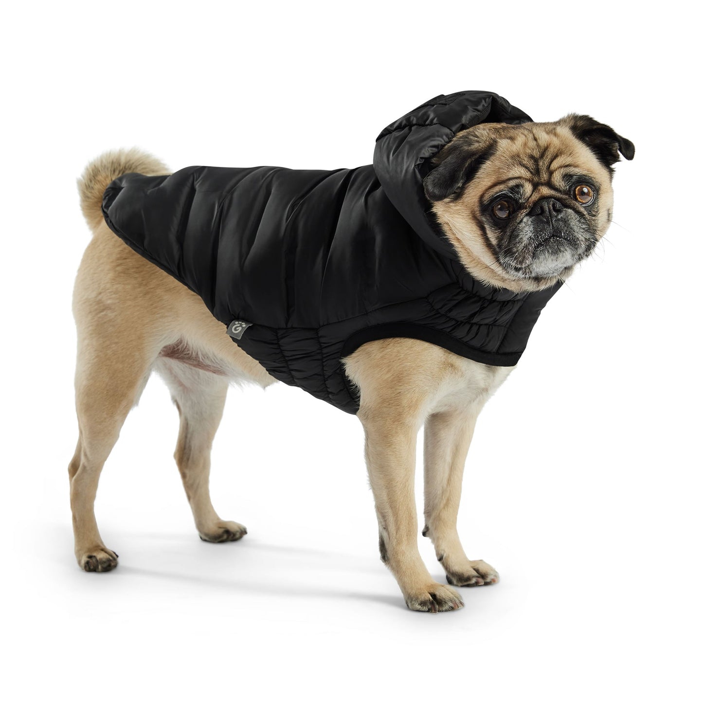 Cloud Parka Dog Jackets Premium Pet Supply Premium - gallery image 10