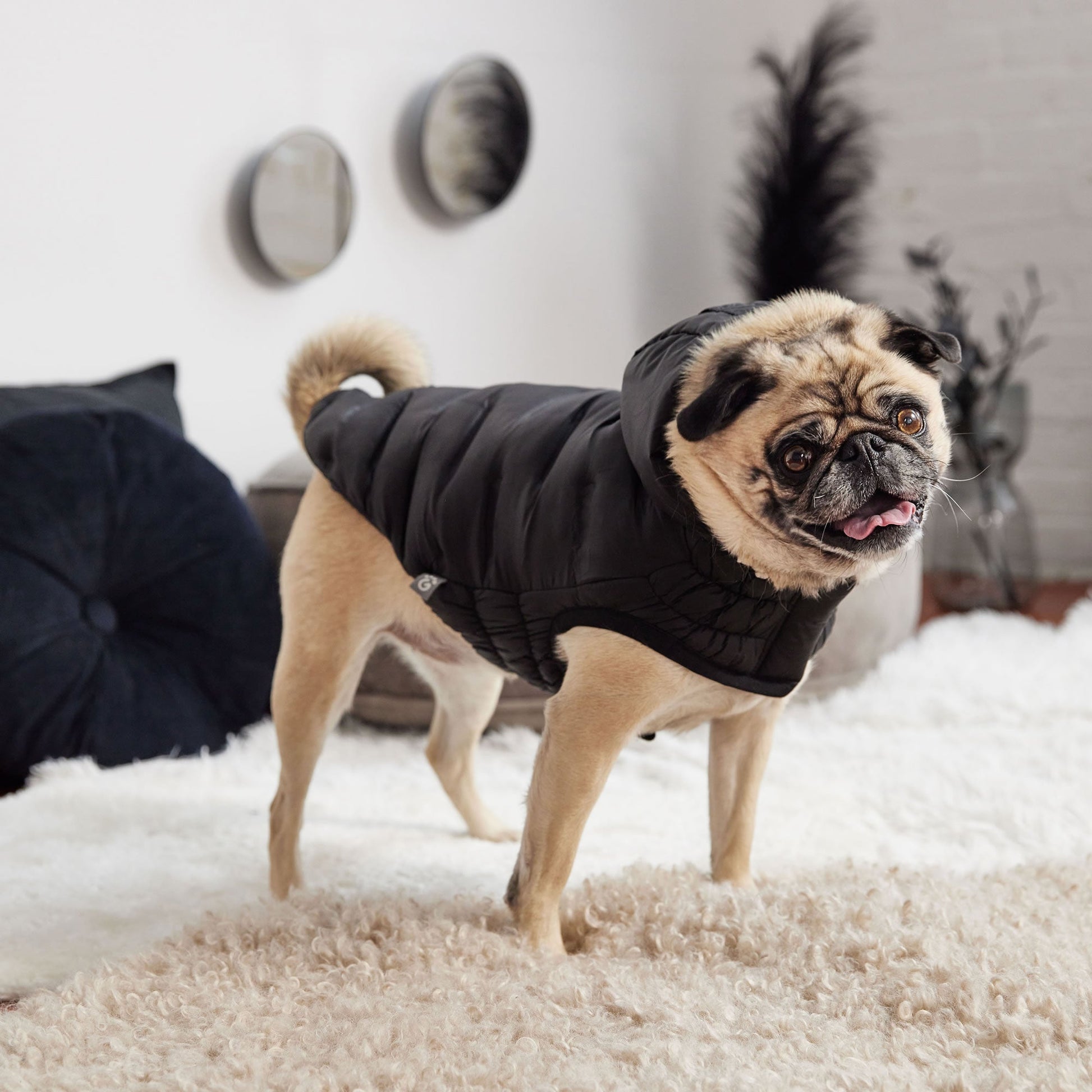 Cloud Parka Dog Jackets Premium Pet Supply Premium - gallery image 16
