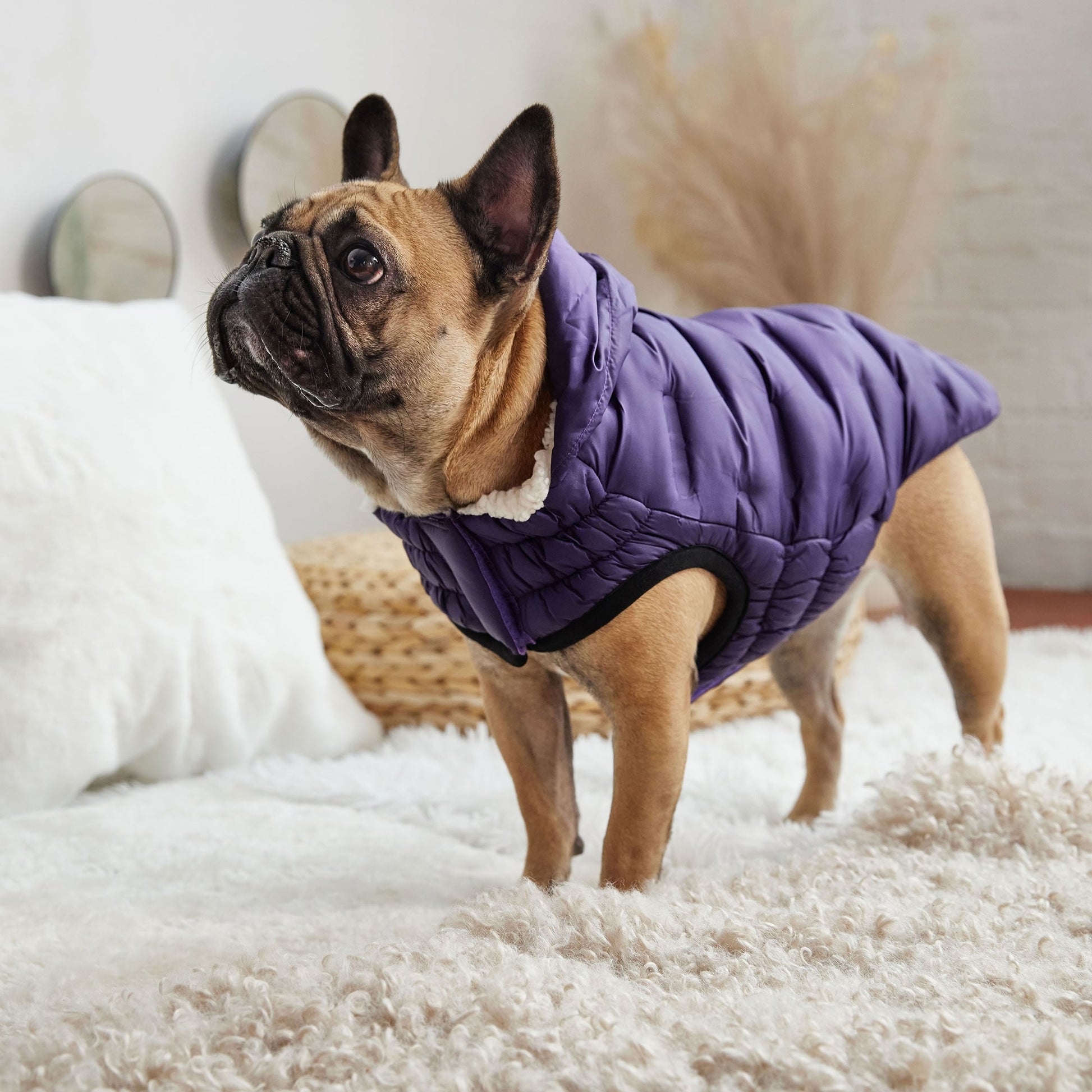 Cloud Parka Dog Jackets Premium Pet Supply Premium - gallery image 6