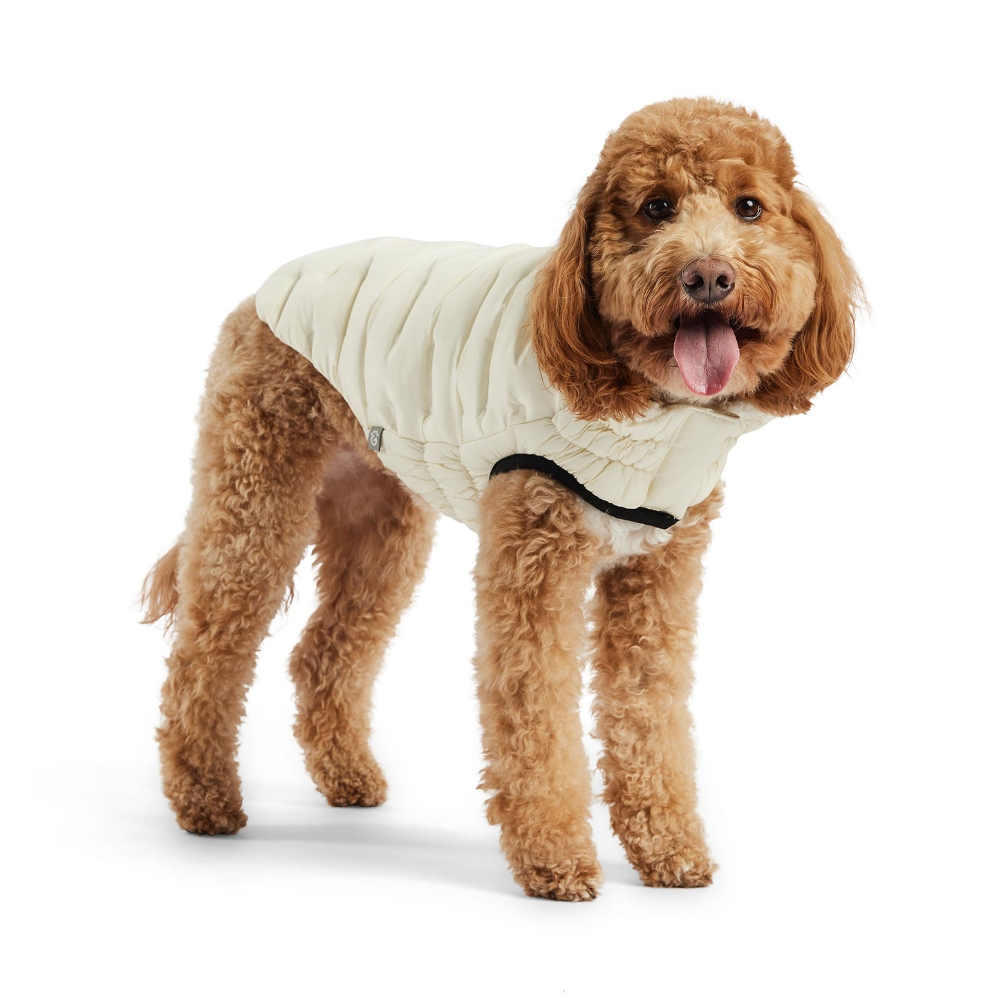 Cloud Parka Dog Jackets Premium Pet Supply Premium - gallery image 18
