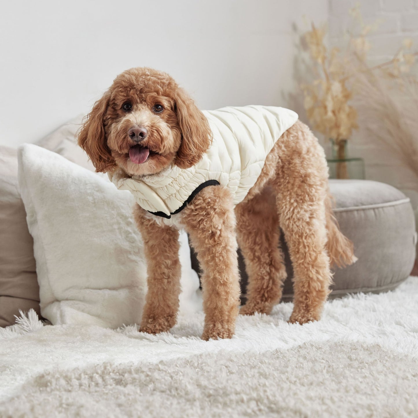 Cloud Parka Dog Jackets Premium Stylish Dog Apparel