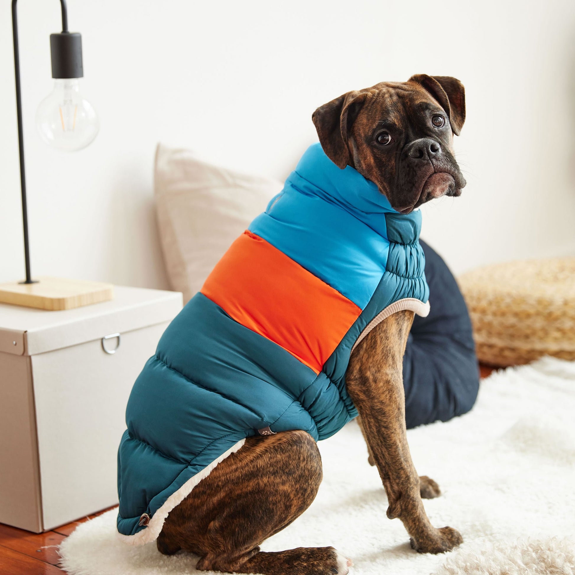 Color Block Puffer Dog Jackets Premium Pet Supply Premium - gallery image 19