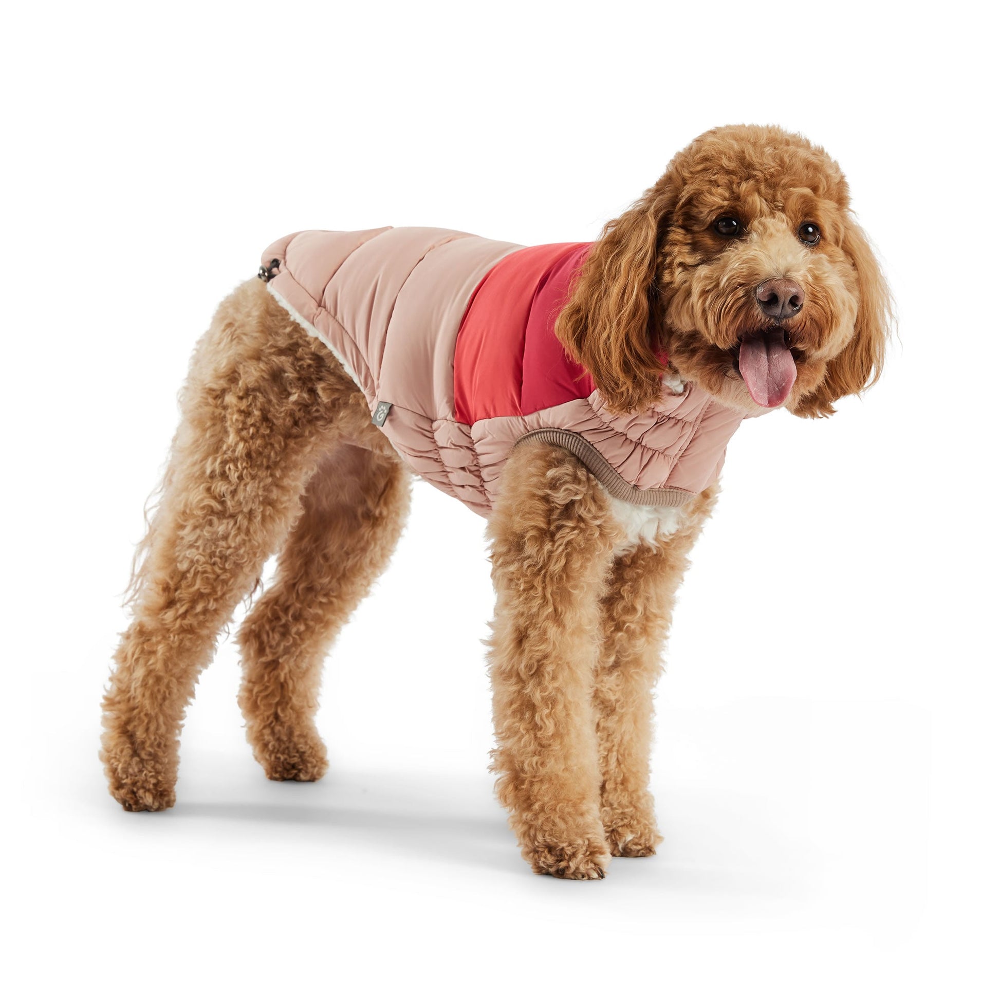 Color Block Puffer Dog Jackets Premium Pet Supply Premium - gallery image 13