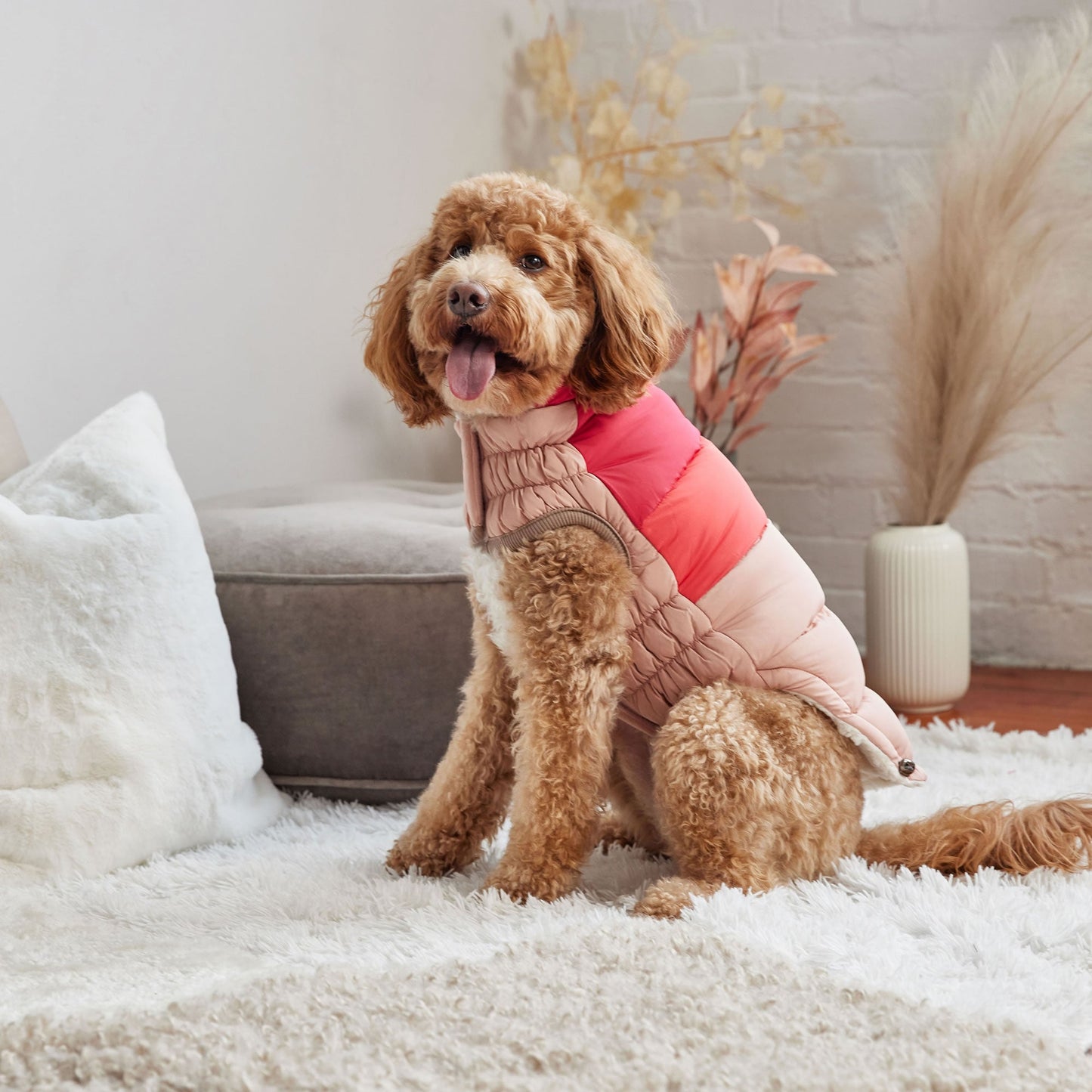 Color Block Puffer Dog Jackets Premium Pet Supply Premium - gallery image 14