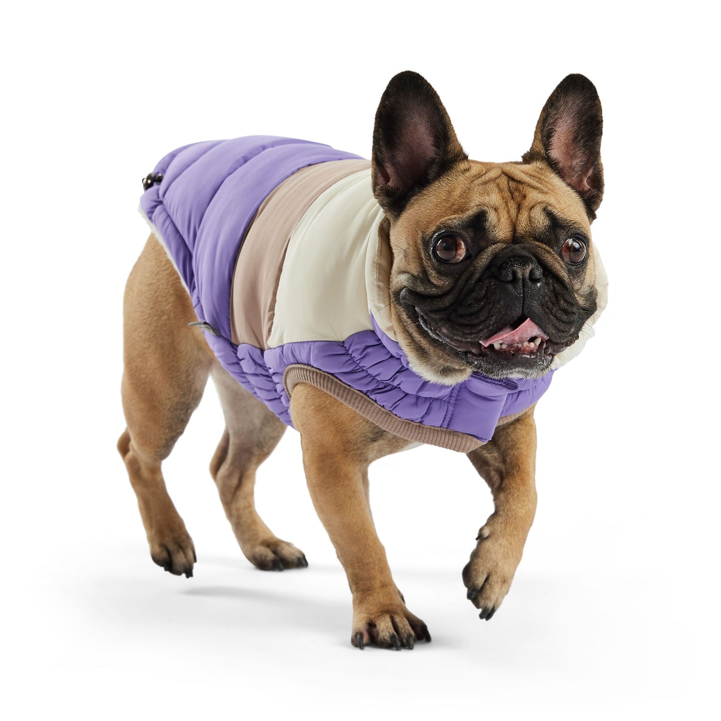 Color Block Puffer Dog Jackets Premium Pet Supply Premium - gallery image 6