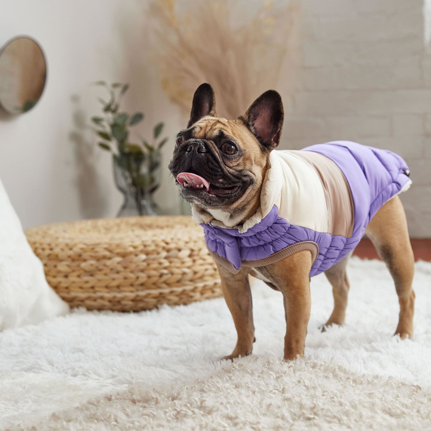 Color Block Puffer Dog Jackets Premium Pet Supply Premium - gallery image 8