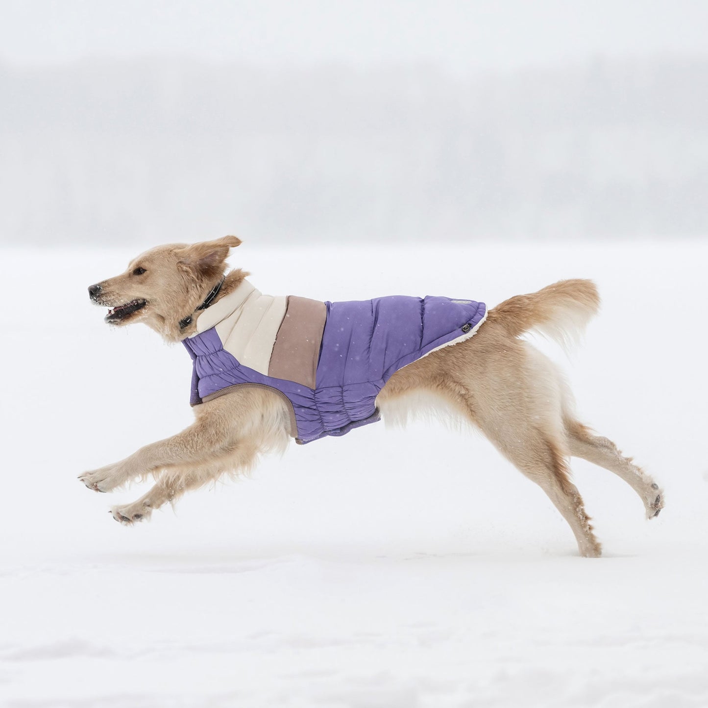 Color Block Puffer Dog Jackets Premium Pet Supply Premium - gallery image 10