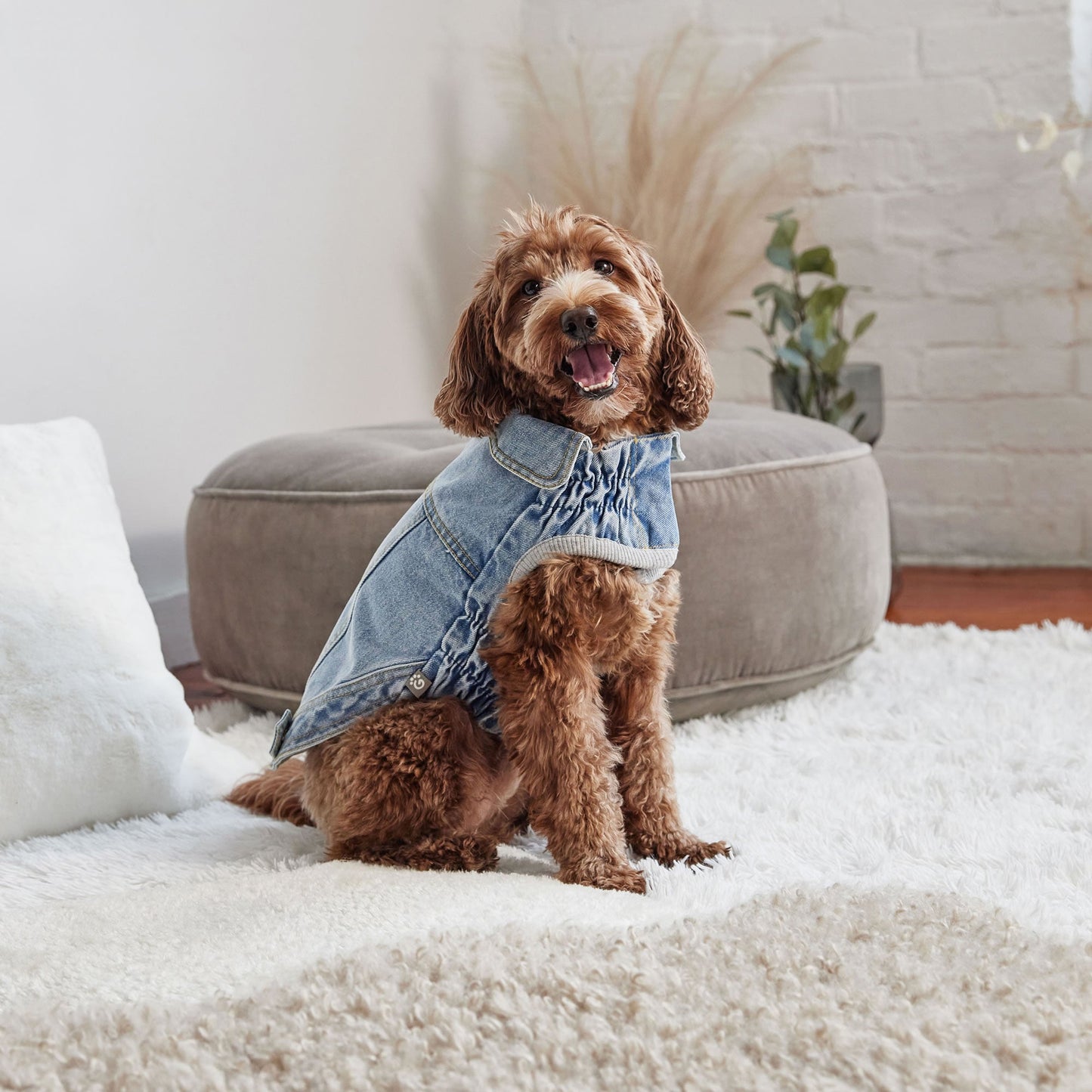 Denim Jacket All Season Light Wash Dog Jackets Premium Pet - gallery image 6