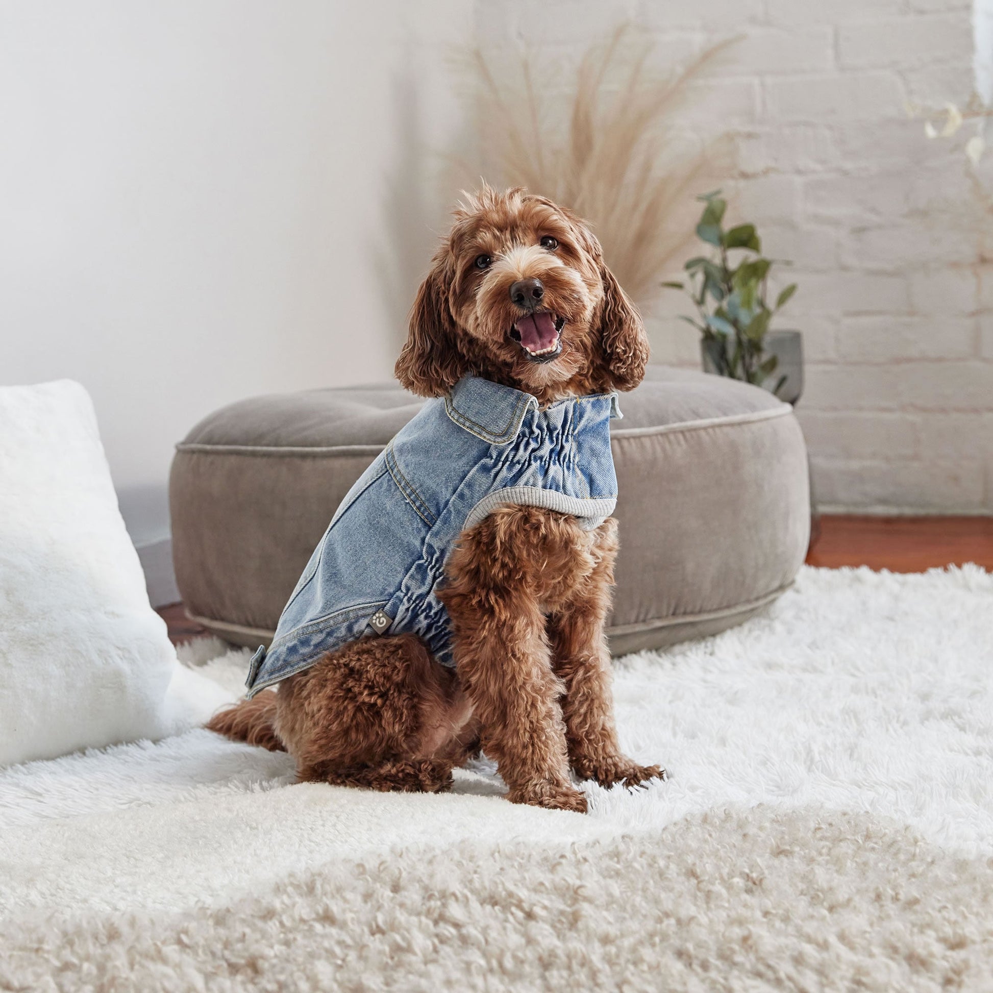 Denim Jacket All Season Light Wash Dog Jackets Premium Pet - gallery image 6