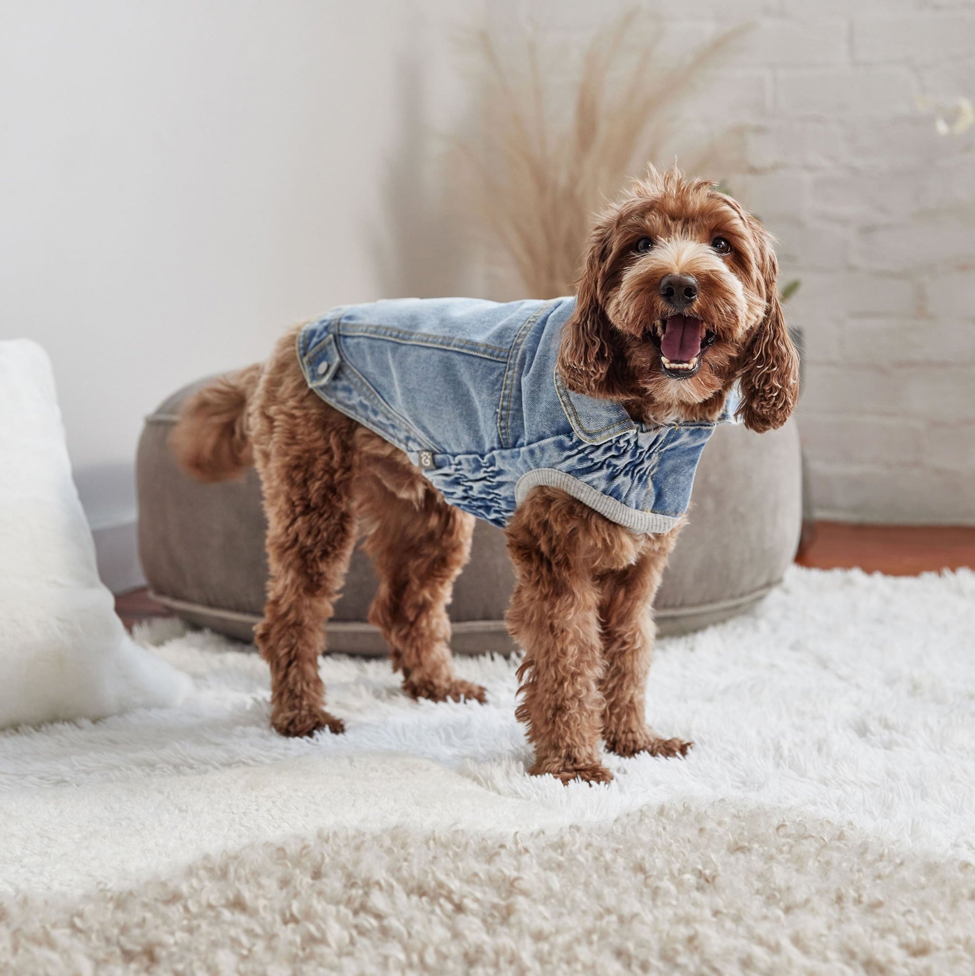 Denim Jacket All Season Light Wash Dog Jackets Premium Pet - gallery image 7