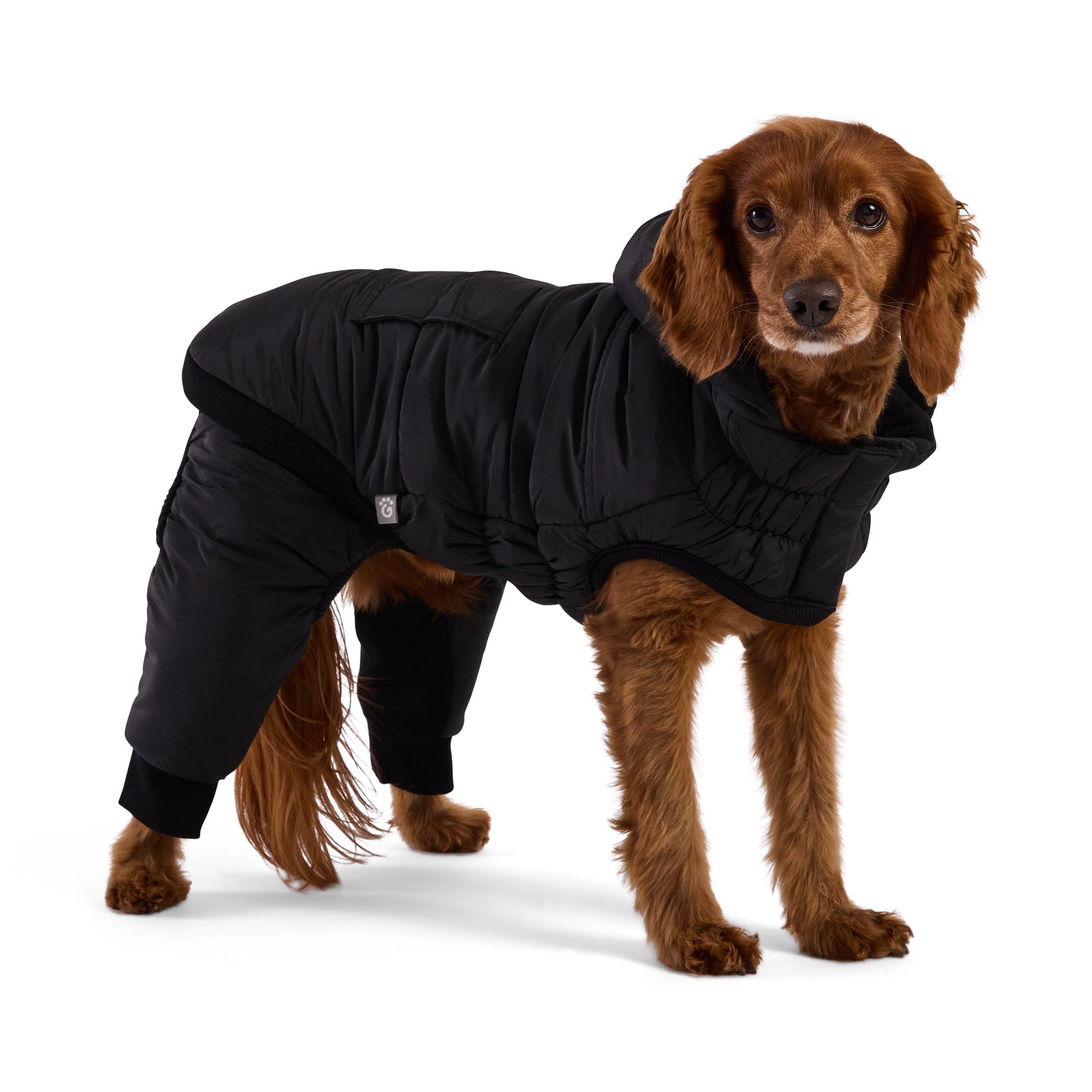 Odyssey Snowsuit Dog Coats Premium Pet Supply Premium - lifestyle view