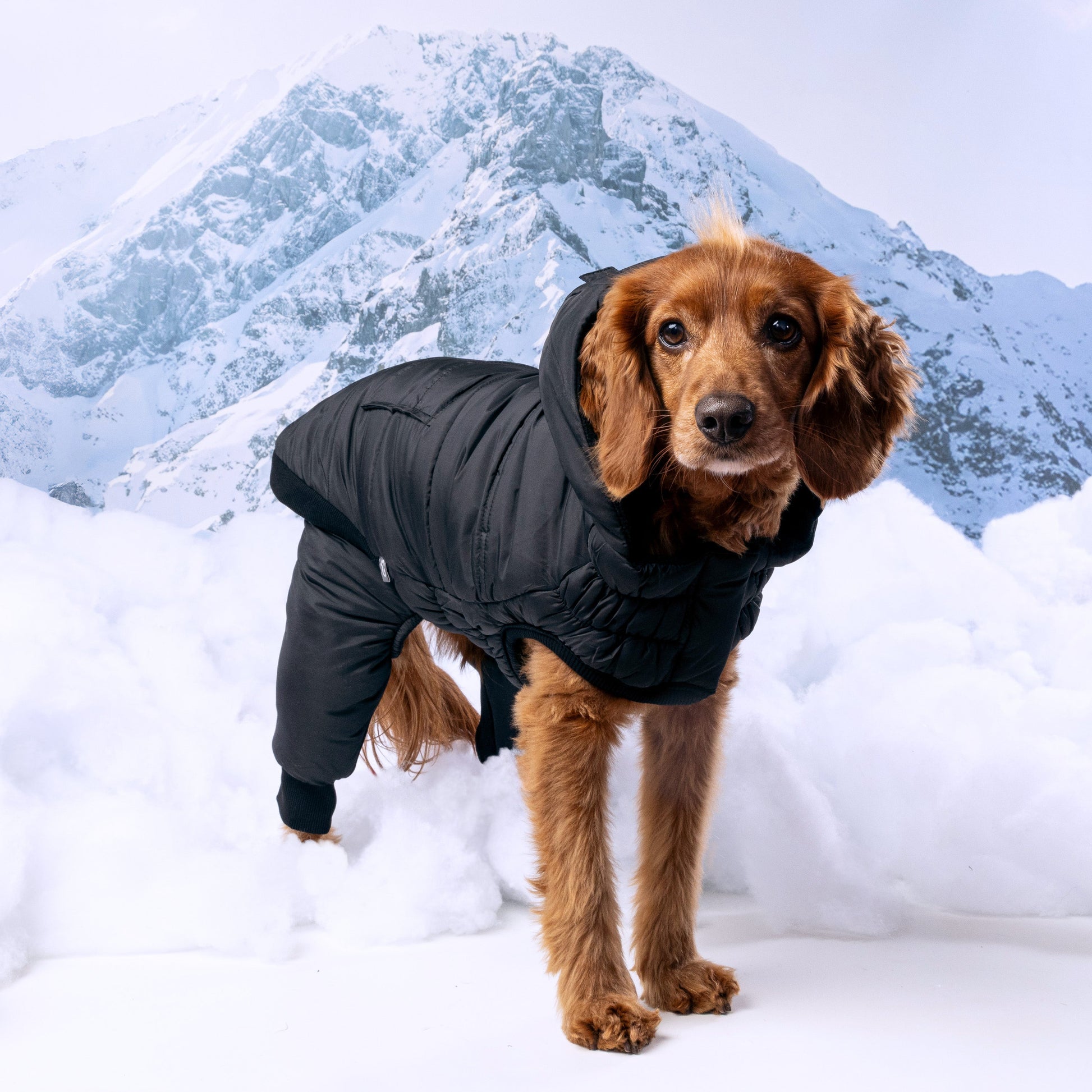 Odyssey Snowsuit Dog Coats Premium Pet Supply Premium - gallery image 7