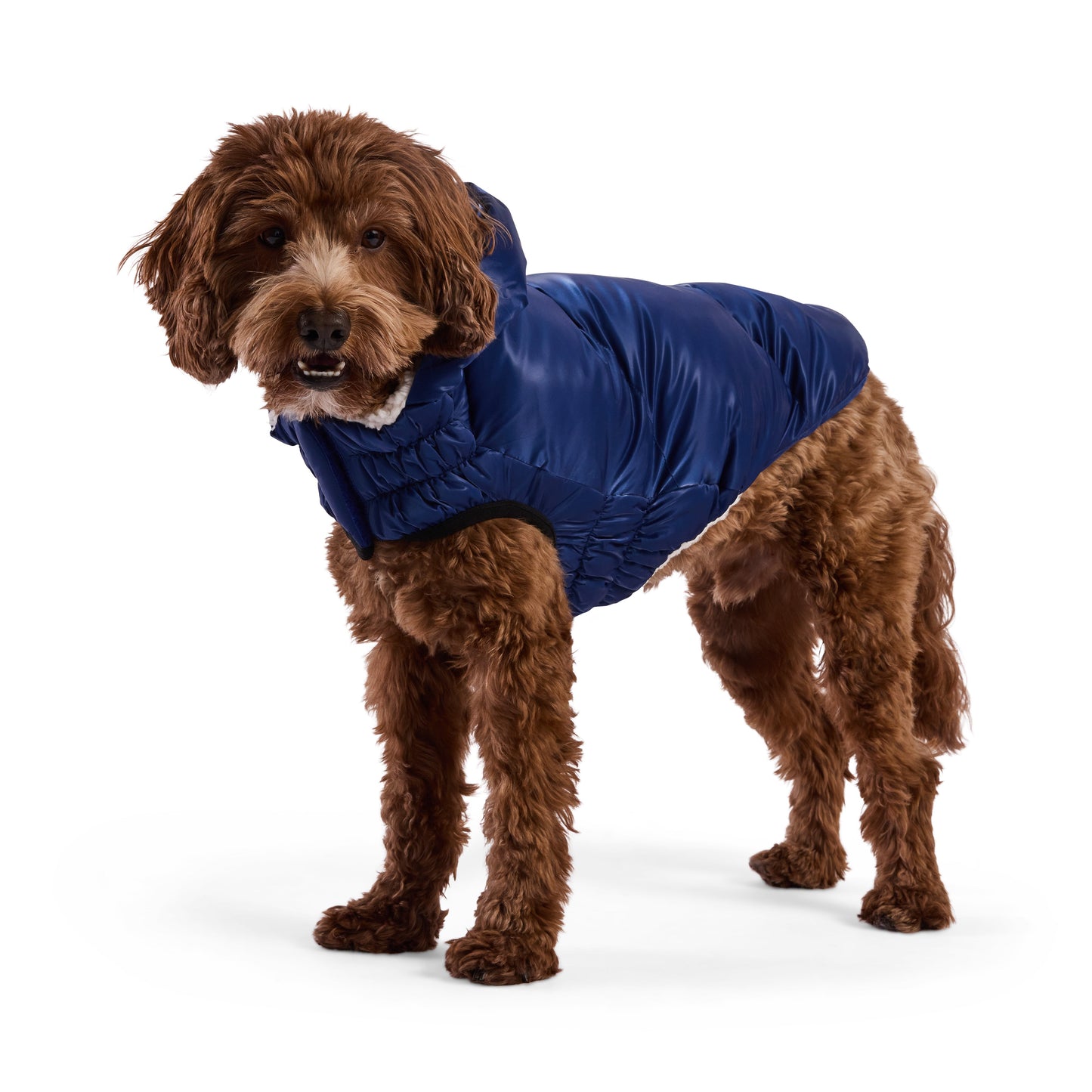 Lunar Glow Parka Dog Jackets Premium Pet Supply Premium - detail view