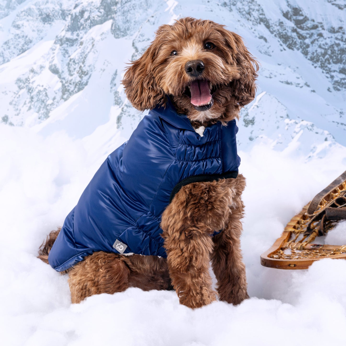 Lunar Glow Parka Dog Jackets Premium Pet Supply Premium - gallery image 6