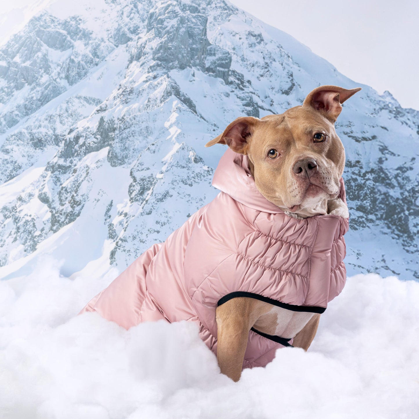 Lunar Glow Parka Dog Jackets Premium Pet Supply Premium - gallery image 13