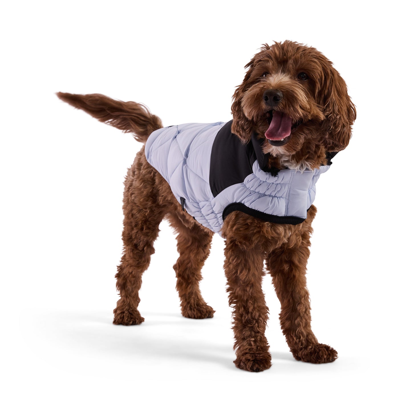 Diamond Puffer Dog Apparel Premium Pet Supply Premium - gallery image 7