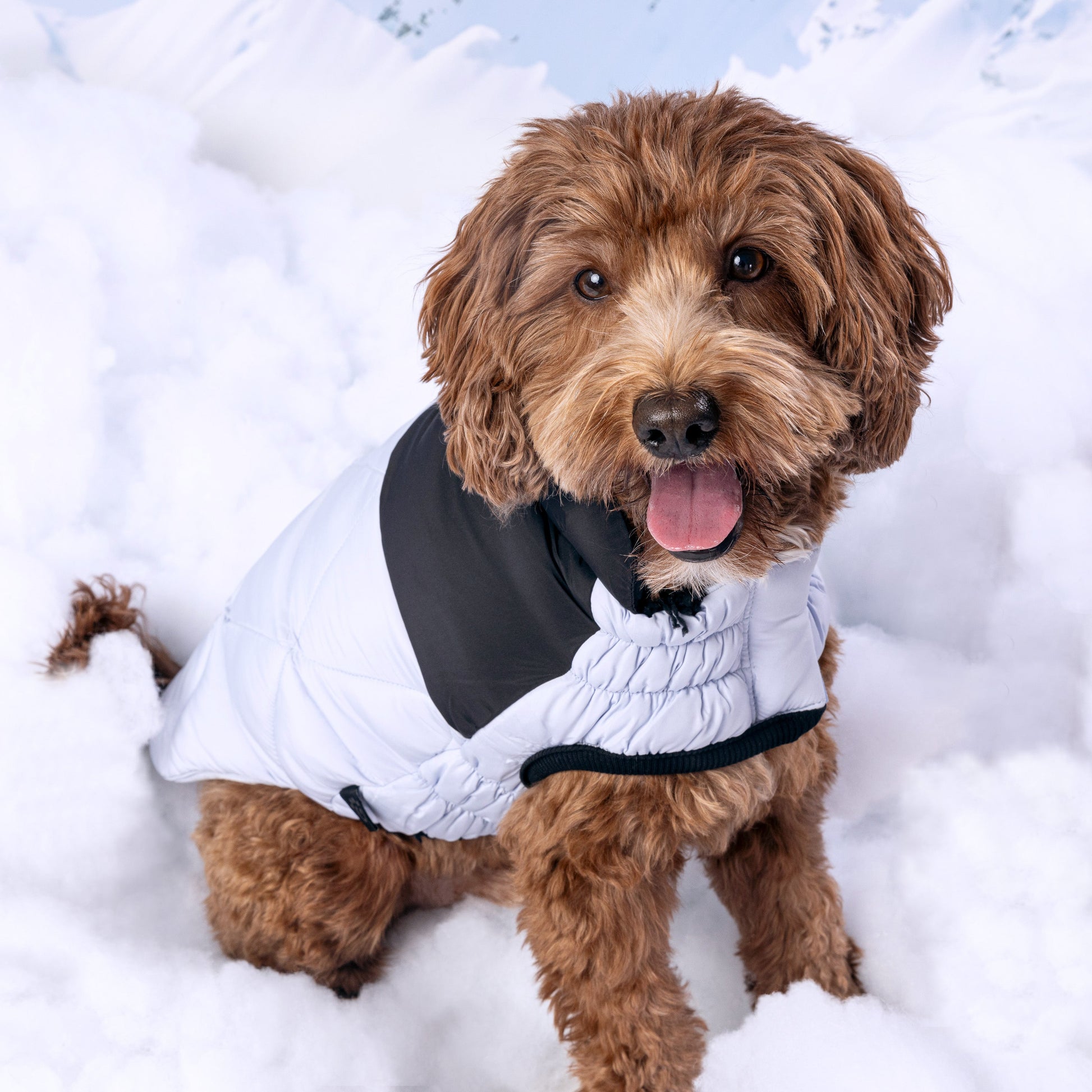 Diamond Puffer Dog Apparel Premium Pet Supply Premium - gallery image 9