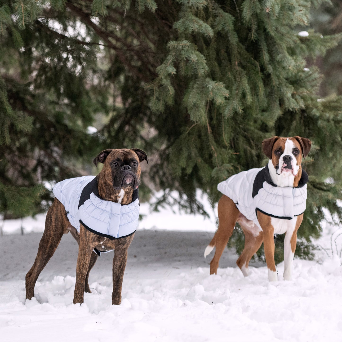 Diamond Puffer Dog Apparel Premium Pet Supply Premium - gallery image 12