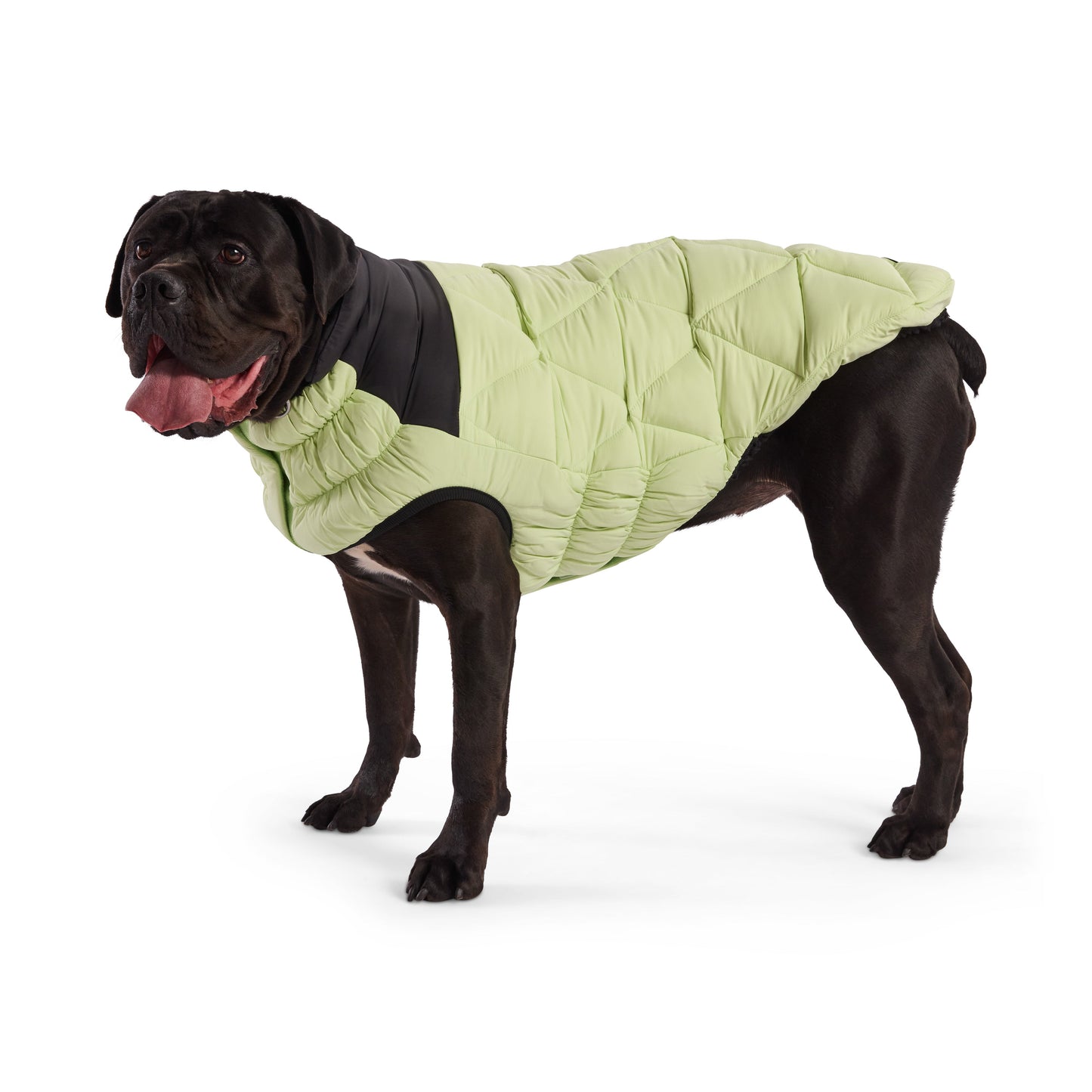 Diamond Puffer Dog Apparel Premium Pet Supply Premium - gallery image 14