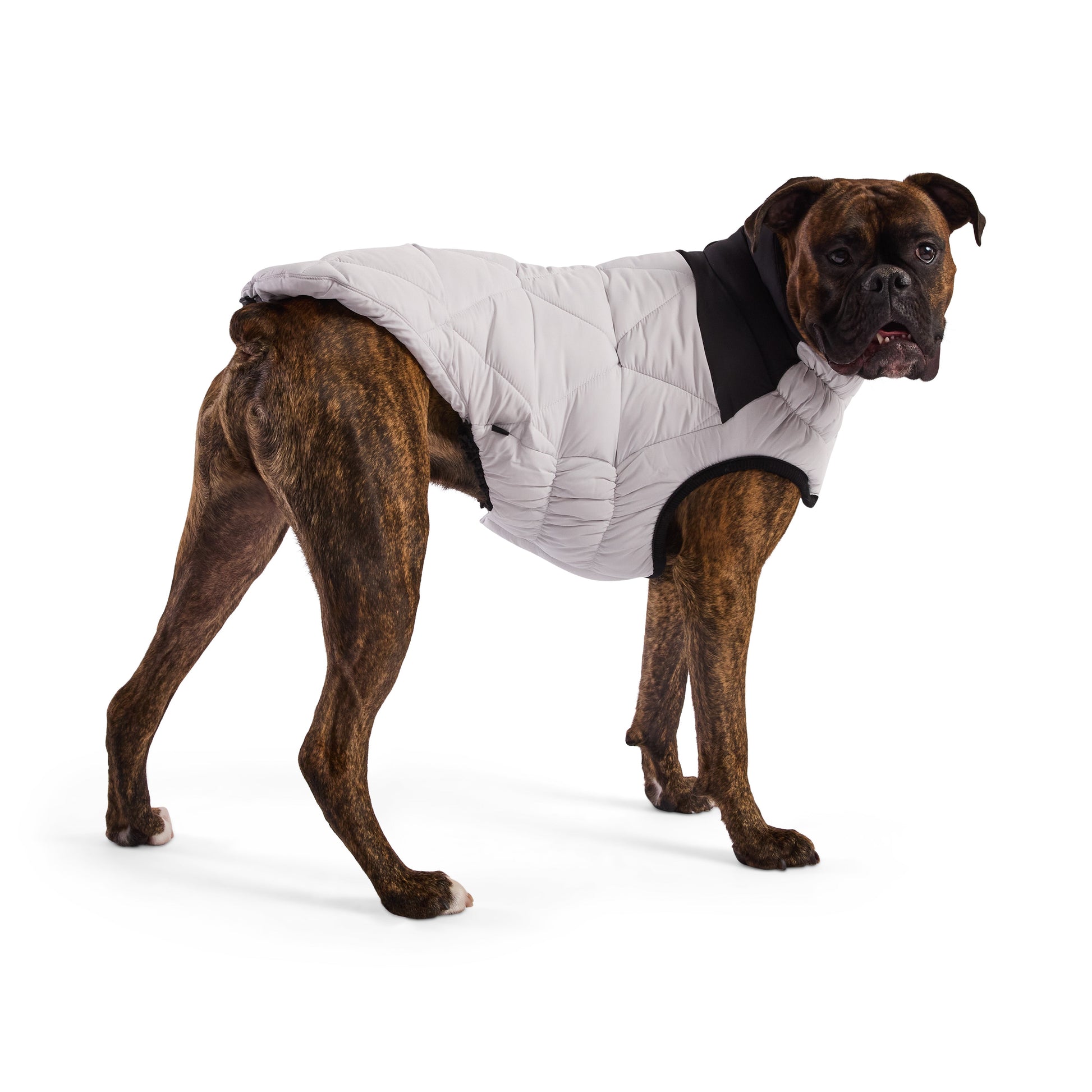 Diamond Puffer Dog Apparel Premium Pet Supply Premium - gallery image 18