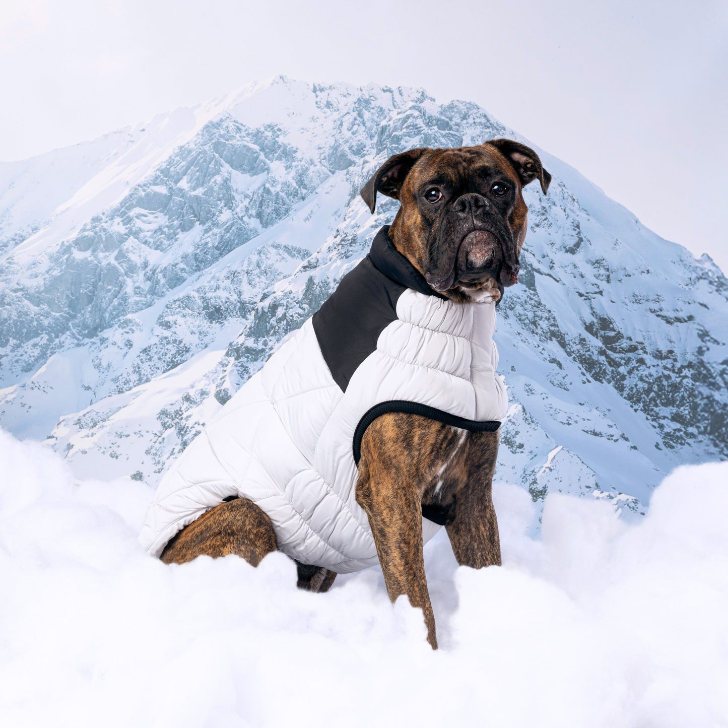 Diamond Puffer Dog Apparel Premium Stylish Dog Apparel