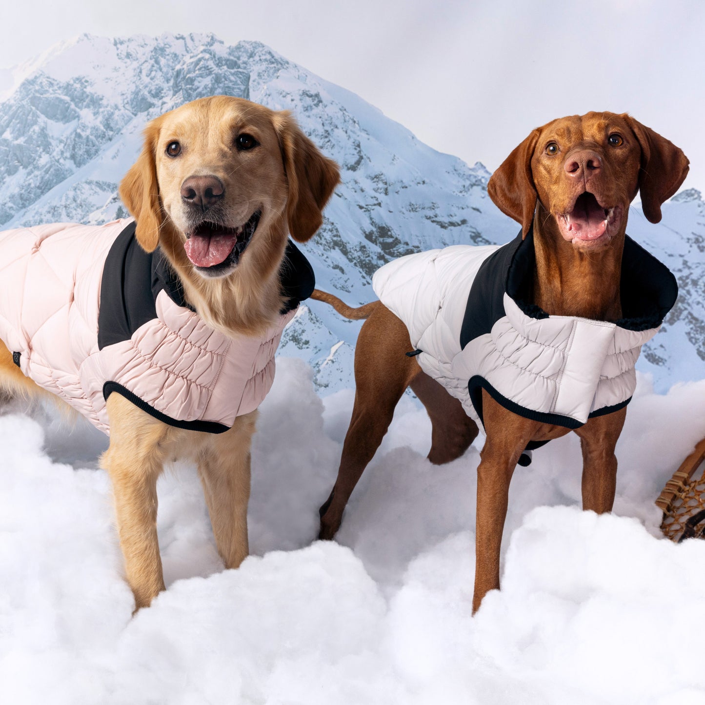 Diamond Puffer Dog Apparel Premium Stylish Dog Apparel