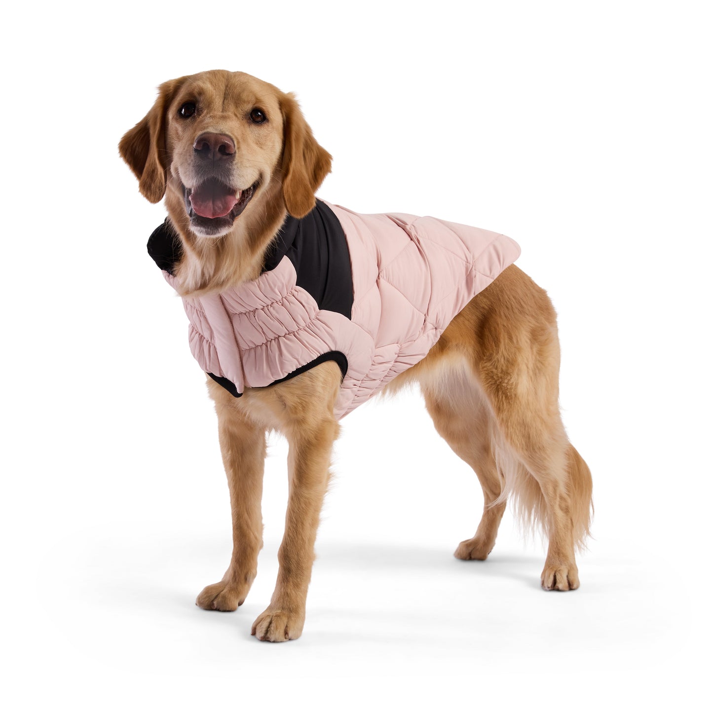 Diamond Puffer Dog Apparel Premium Stylish Dog Apparel