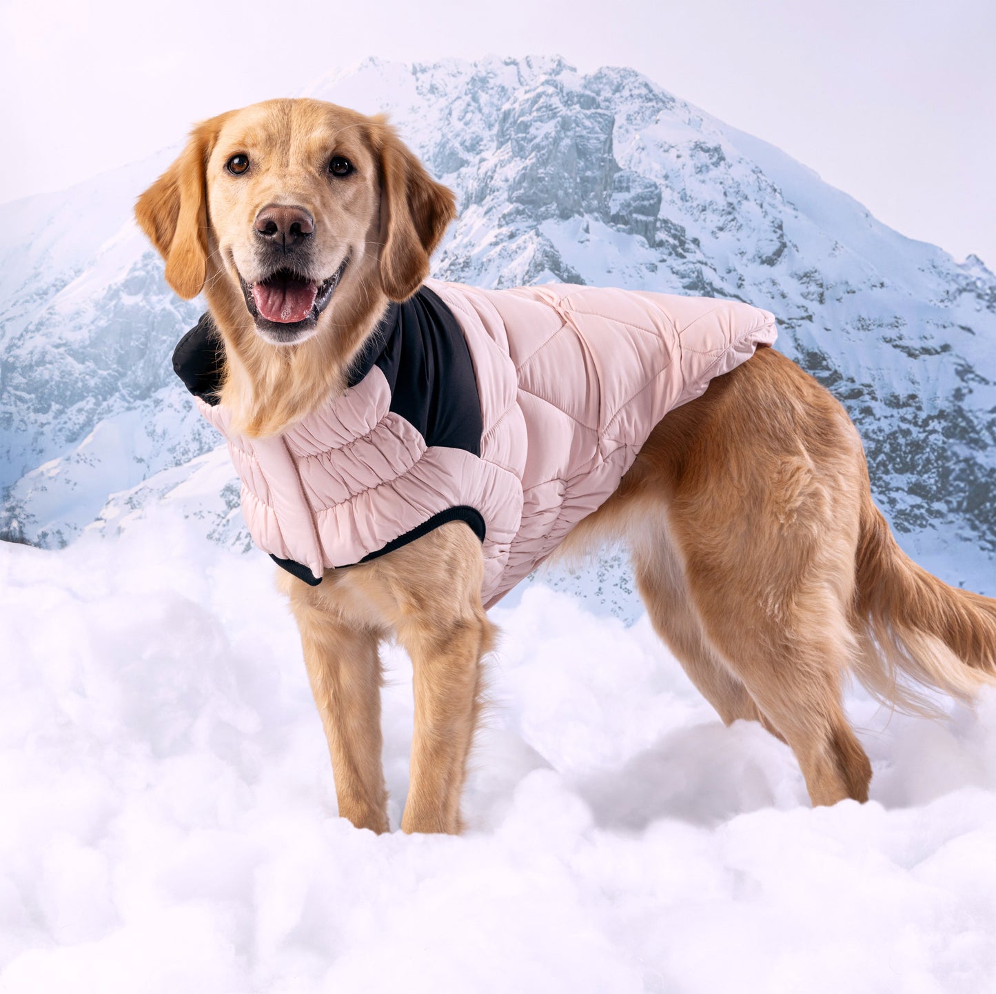 Diamond Puffer Dog Apparel Premium Stylish Dog Apparel