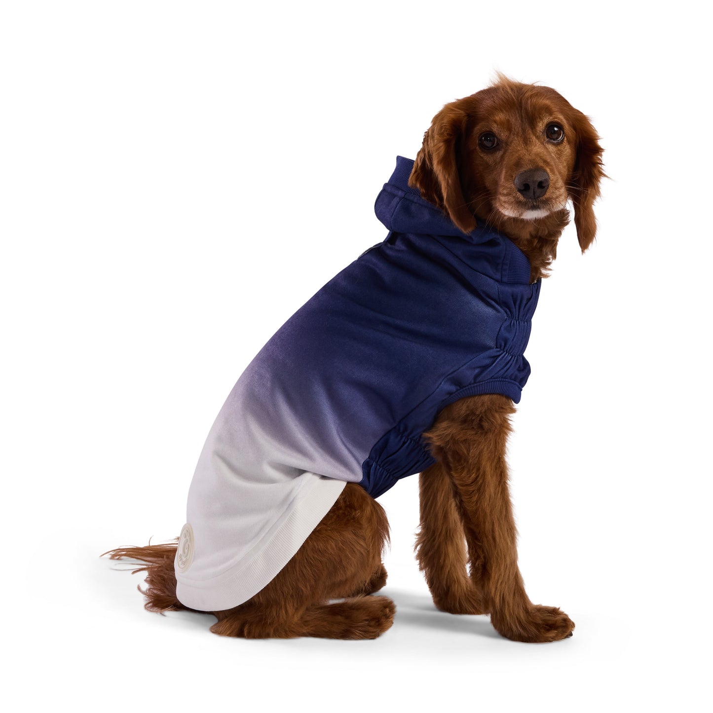 Good Vibes Hoodie Dog Apparel Premium Pet Supply Premium - gallery image 6