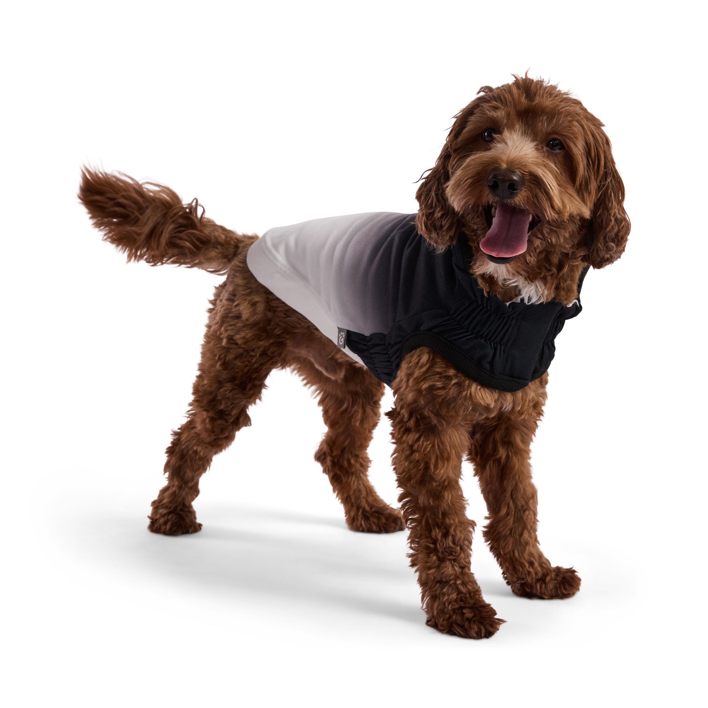 Good Vibes Hoodie Dog Apparel Premium Pet Supply Premium - gallery image 7