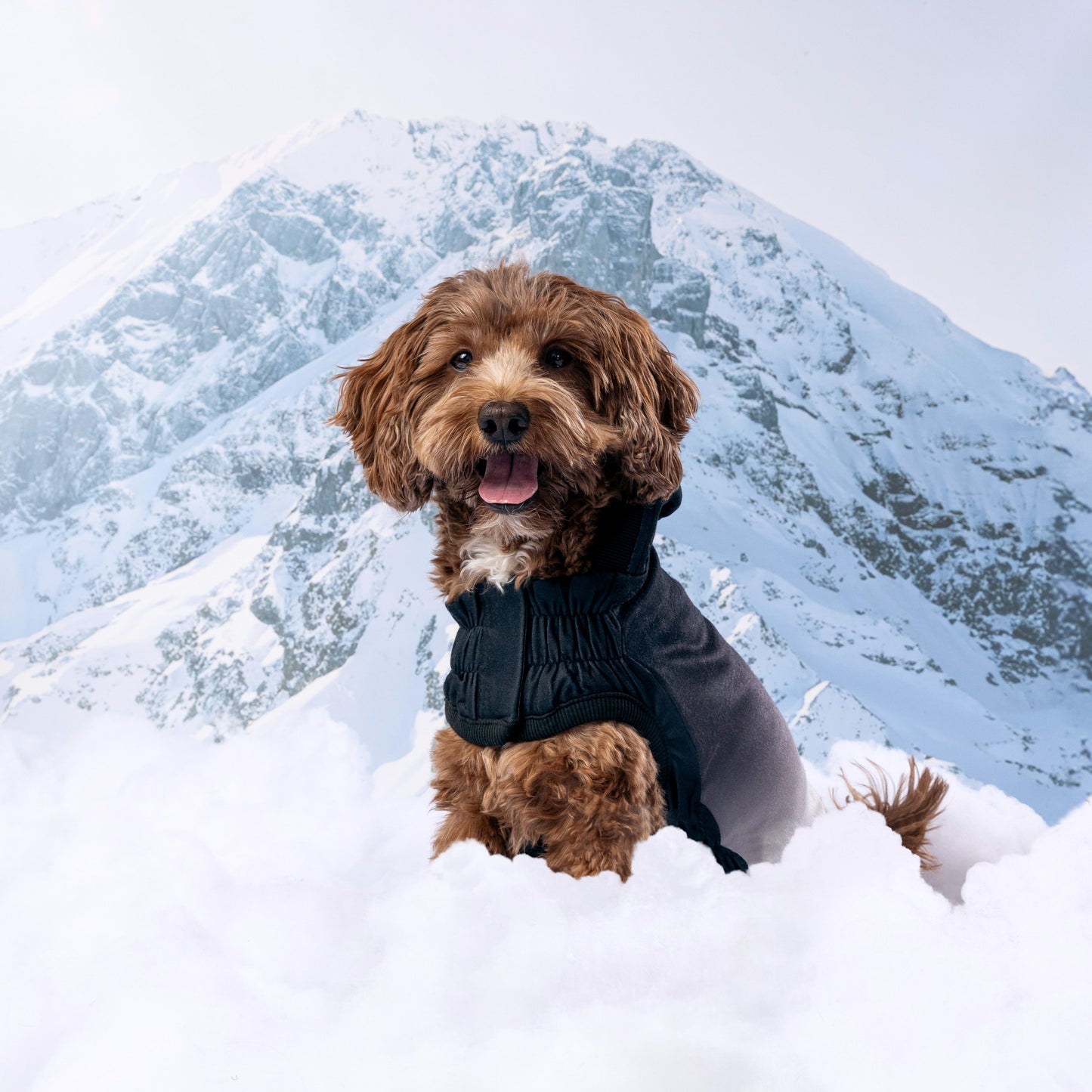 Good Vibes Hoodie Dog Apparel Premium Pet Supply Premium - gallery image 18