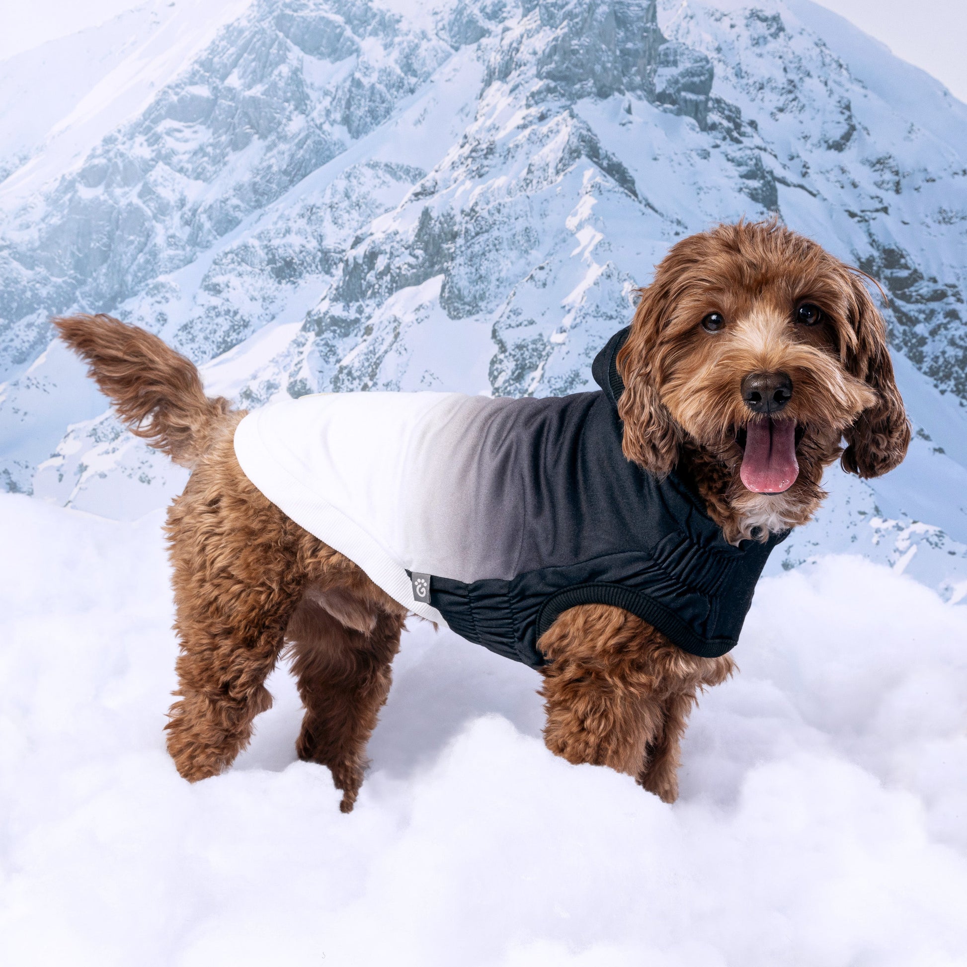 Good Vibes Hoodie Dog Apparel Premium Pet Supply Premium - gallery image 19