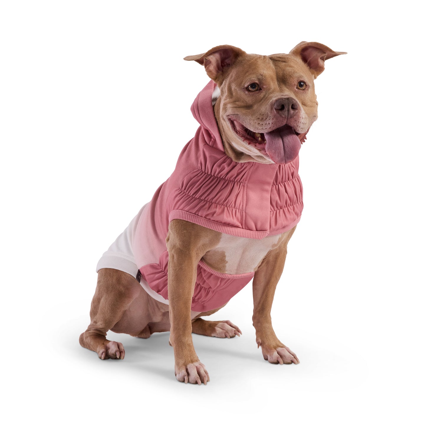 Good Vibes Hoodie Dog Apparel Premium Pet Supply Premium - gallery image 8