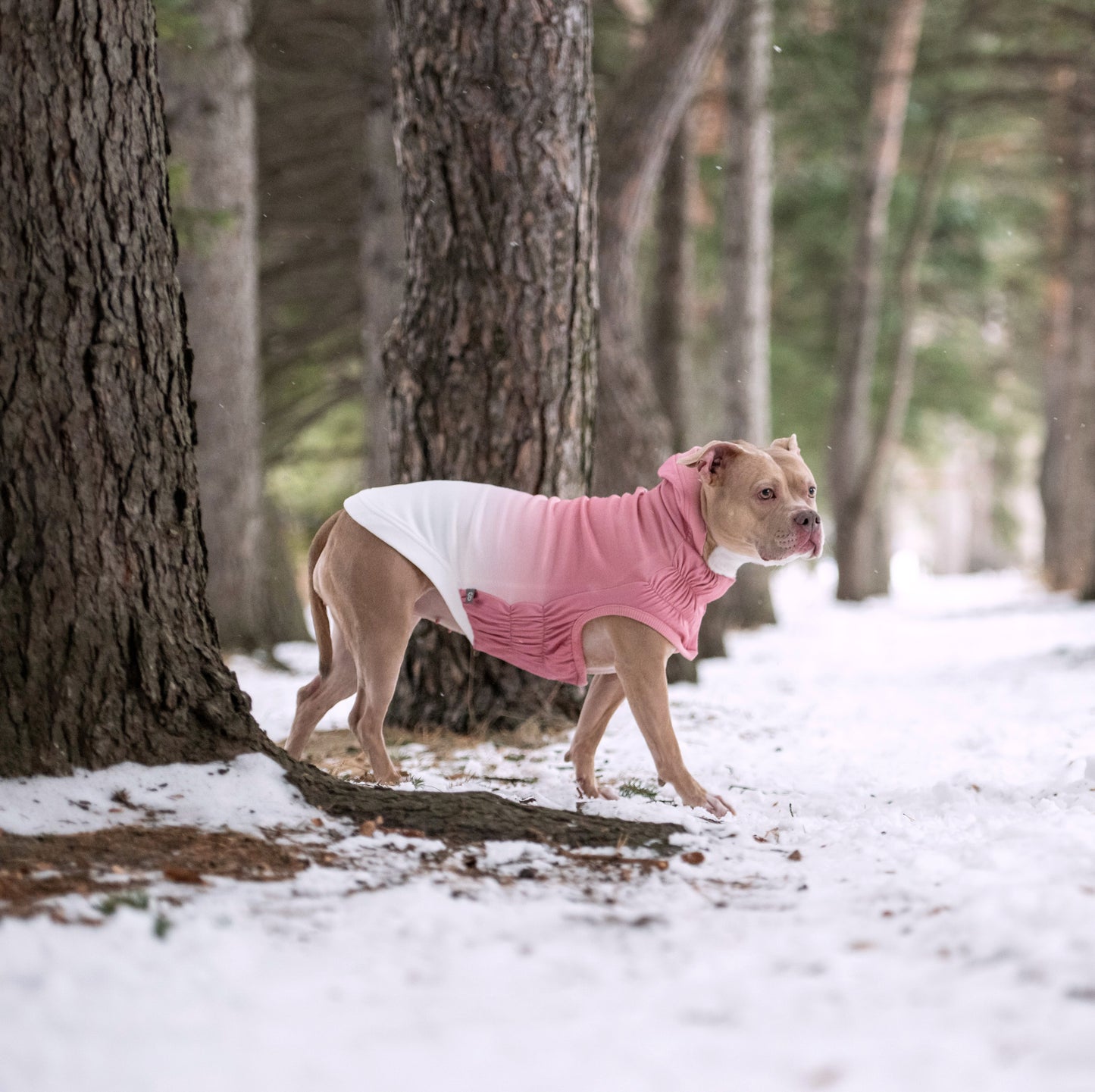 Good Vibes Hoodie Dog Apparel Premium Pet Supply Premium - gallery image 15