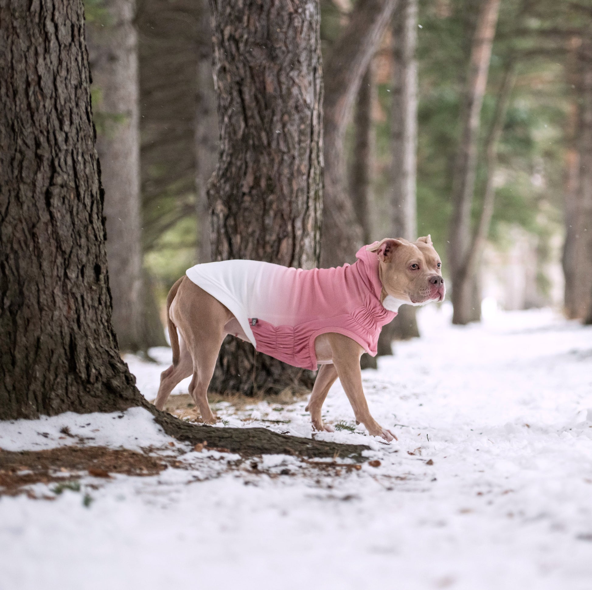 Good Vibes Hoodie Dog Apparel Premium Pet Supply Premium - gallery image 15