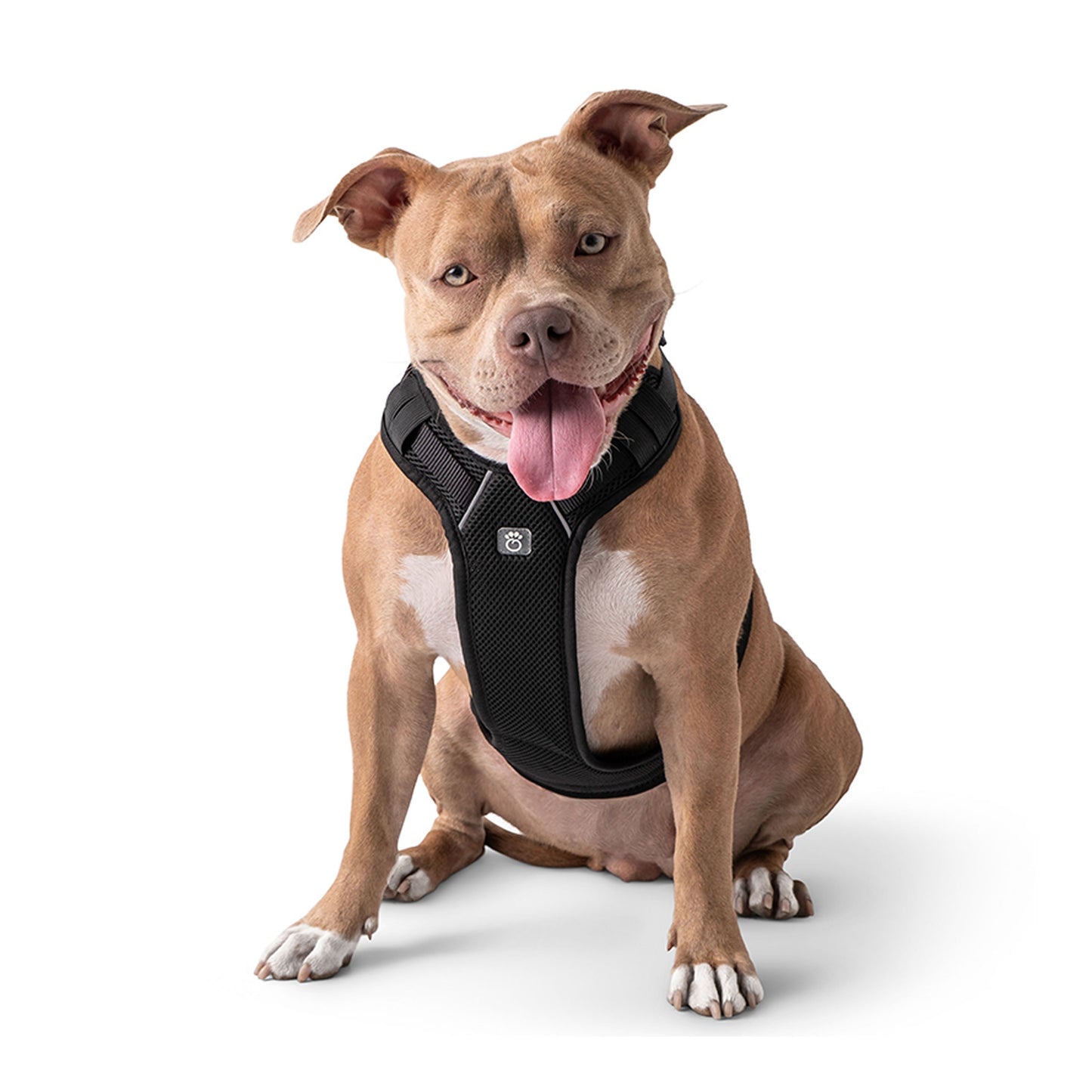 Dog Harness Travel Walking Vest Adjustable Black Comfort - main product image