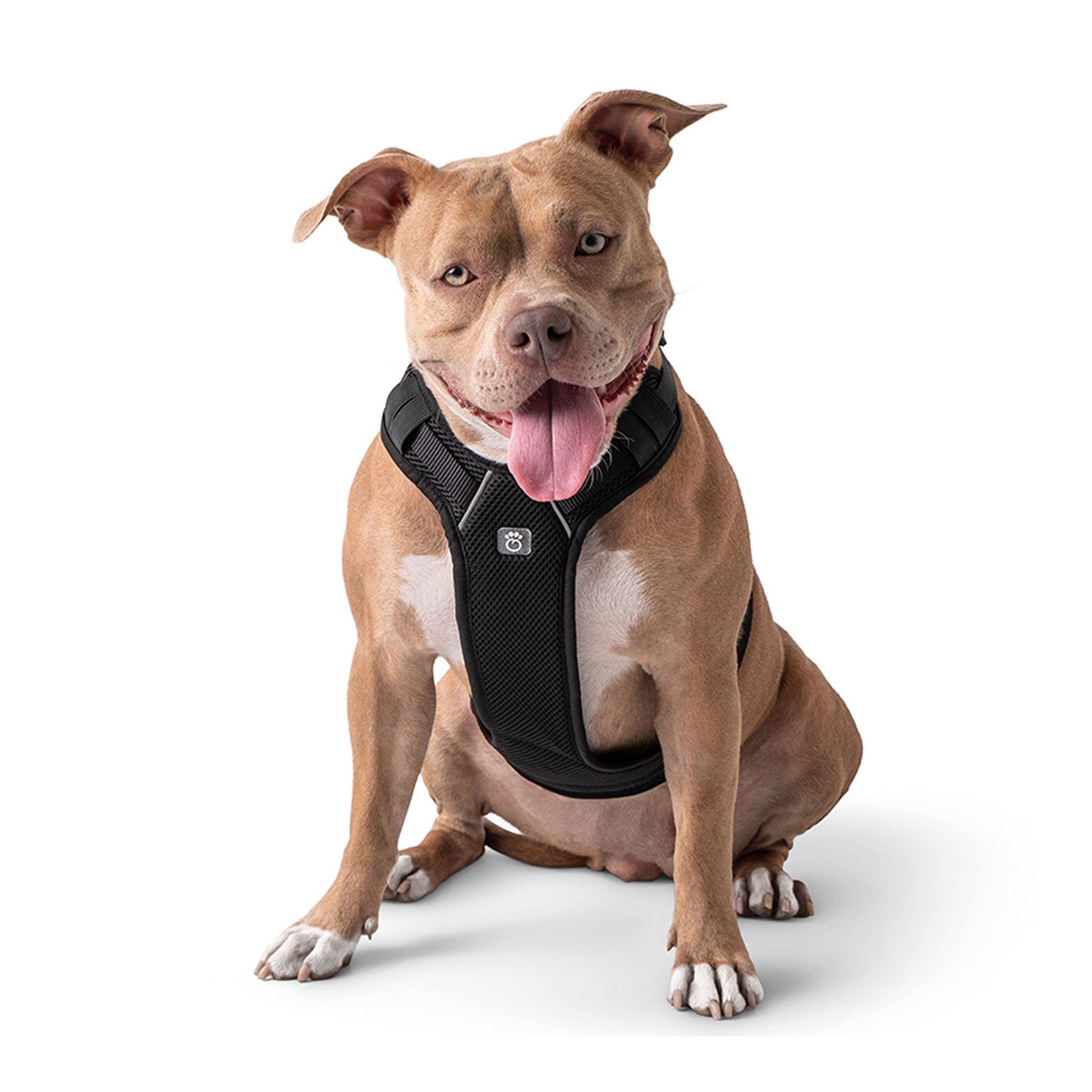 Dog Harness Travel Walking Vest Adjustable Black Comfort - main product image