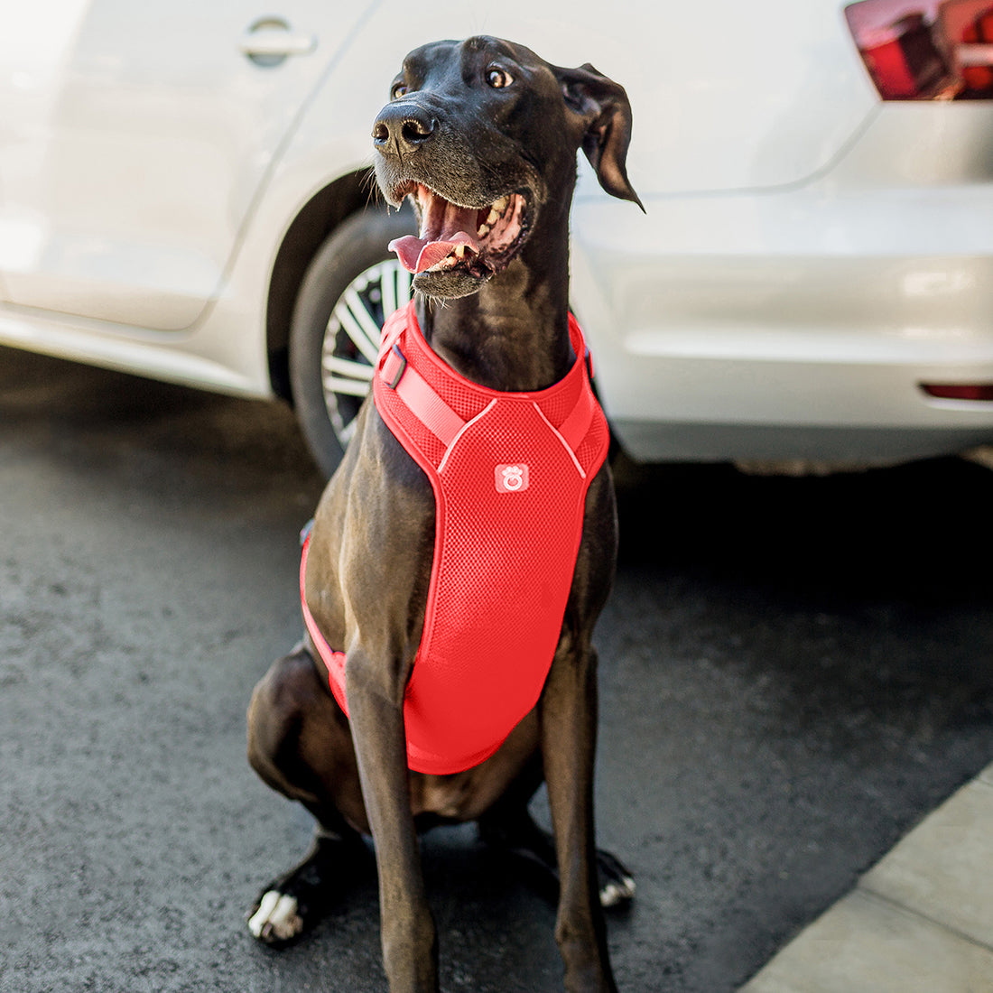 Dog Harness Travel Walking Vest Adjustable Red Comfort Premi - gallery image 5