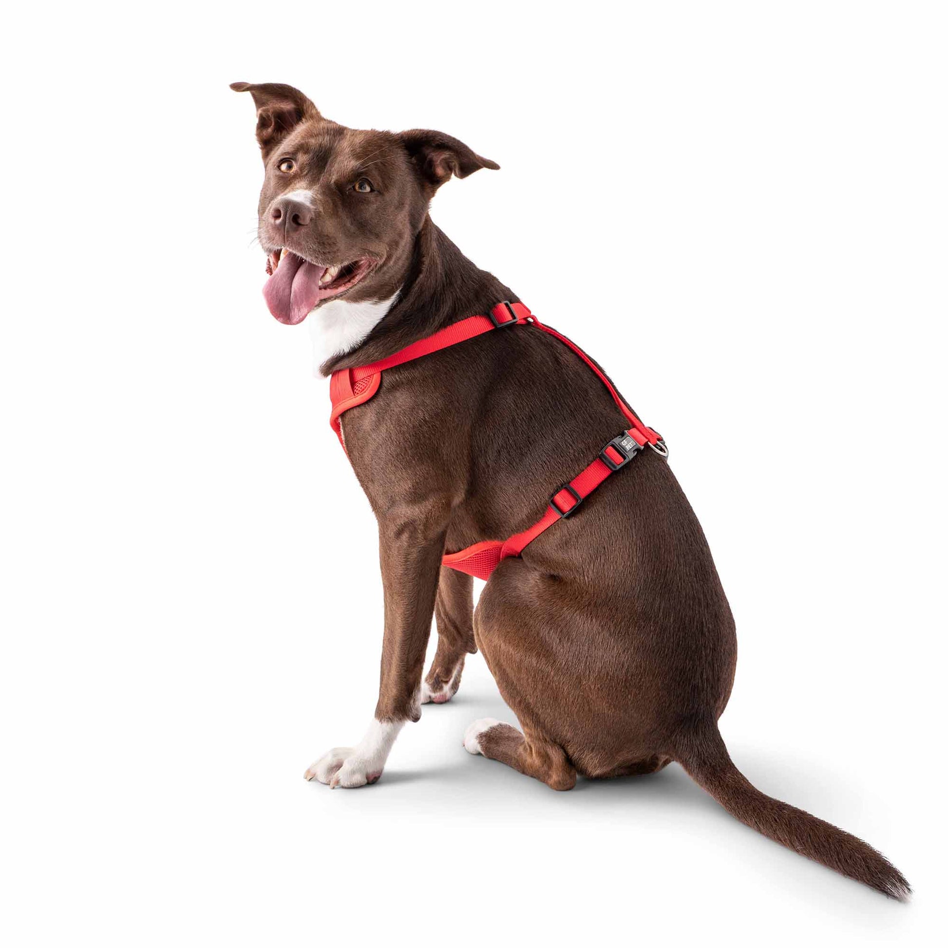 Dog Harness Travel Walking Vest Adjustable Red Comfort Premi - main product image