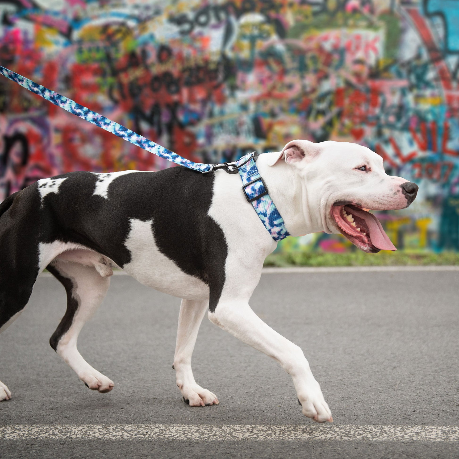 Dog Collar Adjustable Everyday Wear Adjustable Tie Dye Premi - detail view