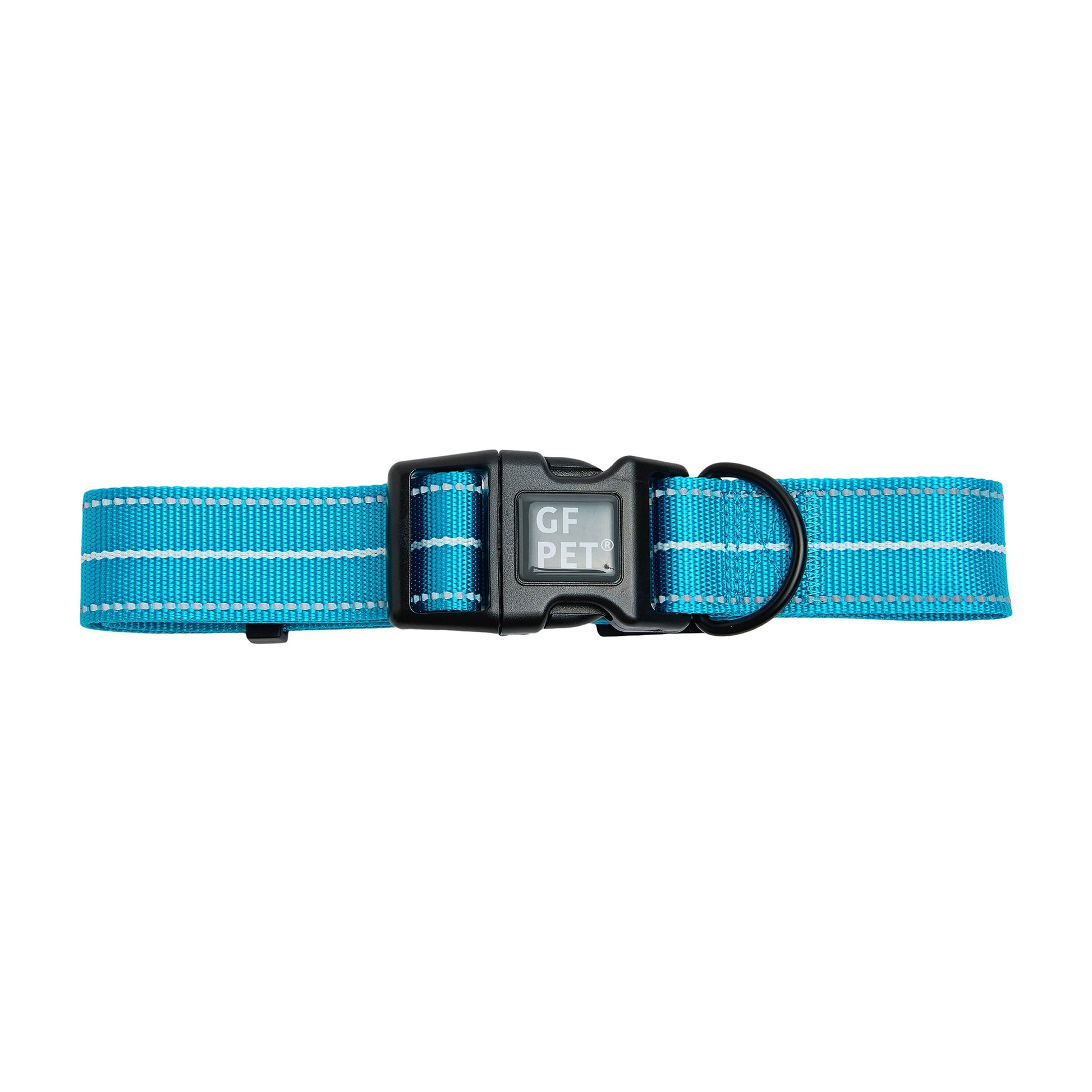 Dog Collar Adjustable Everyday Wear Adjustable Neon Blue - lifestyle view